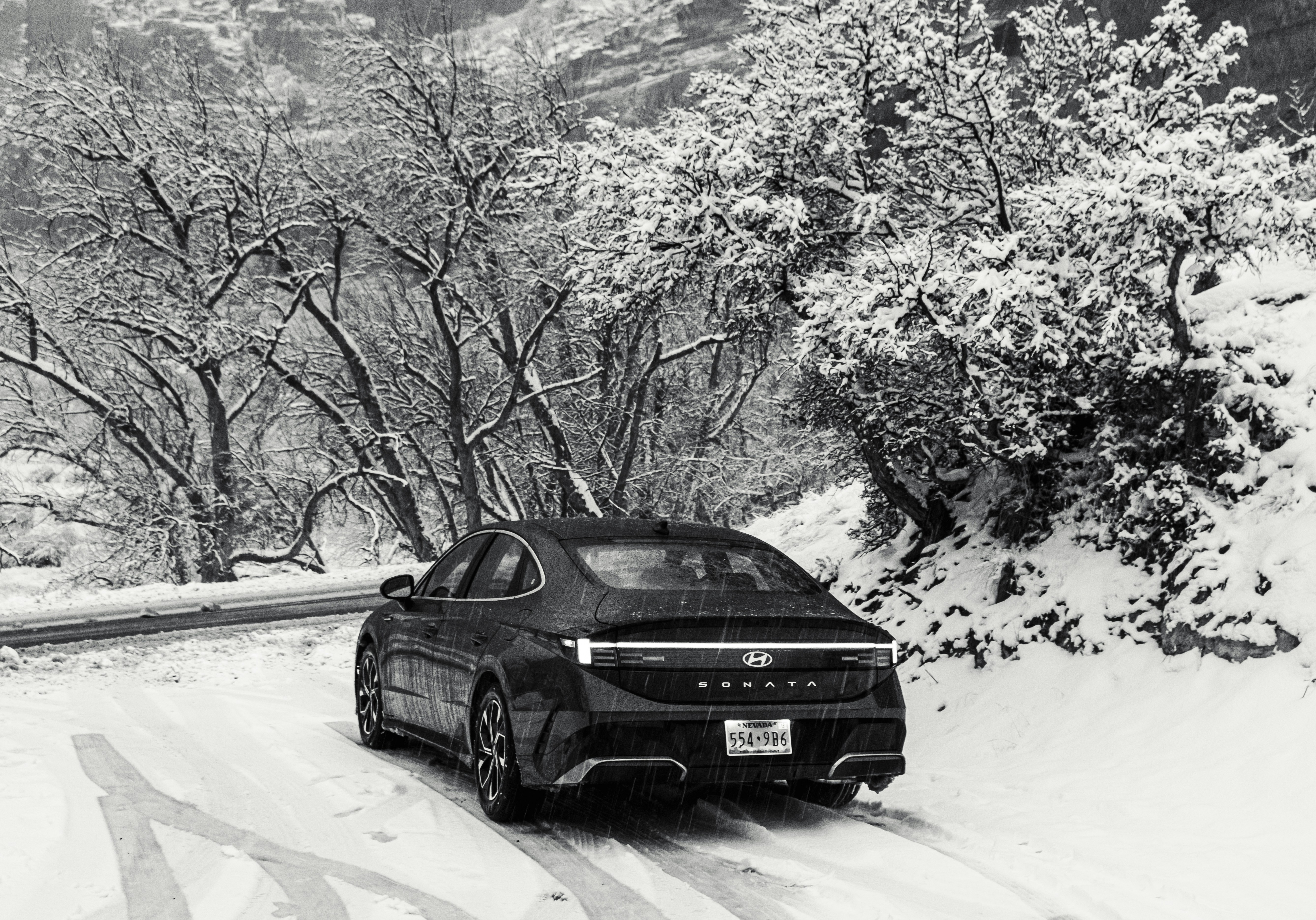 Photo by zoshuacolah