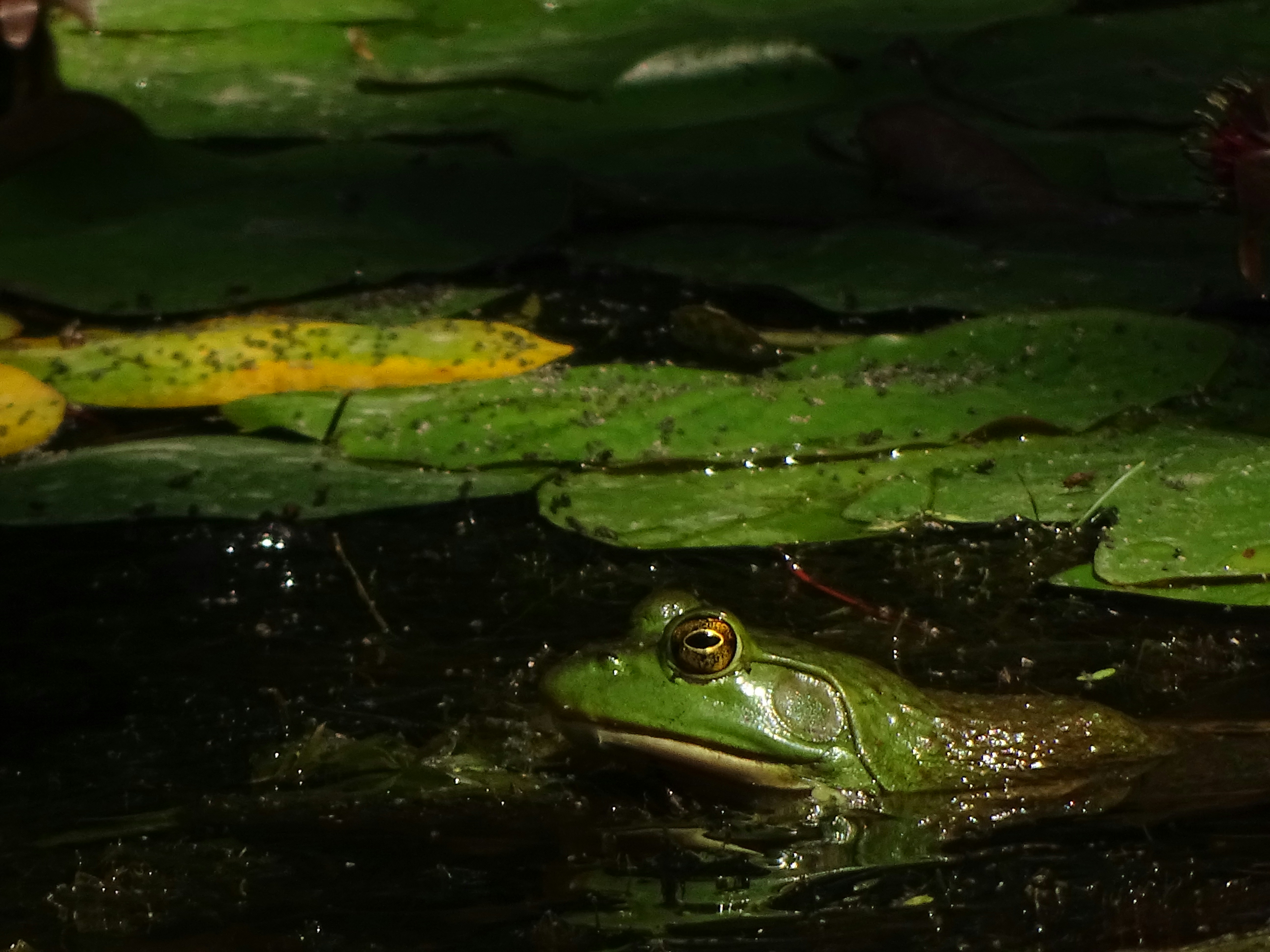 Photo by sparkerphotography