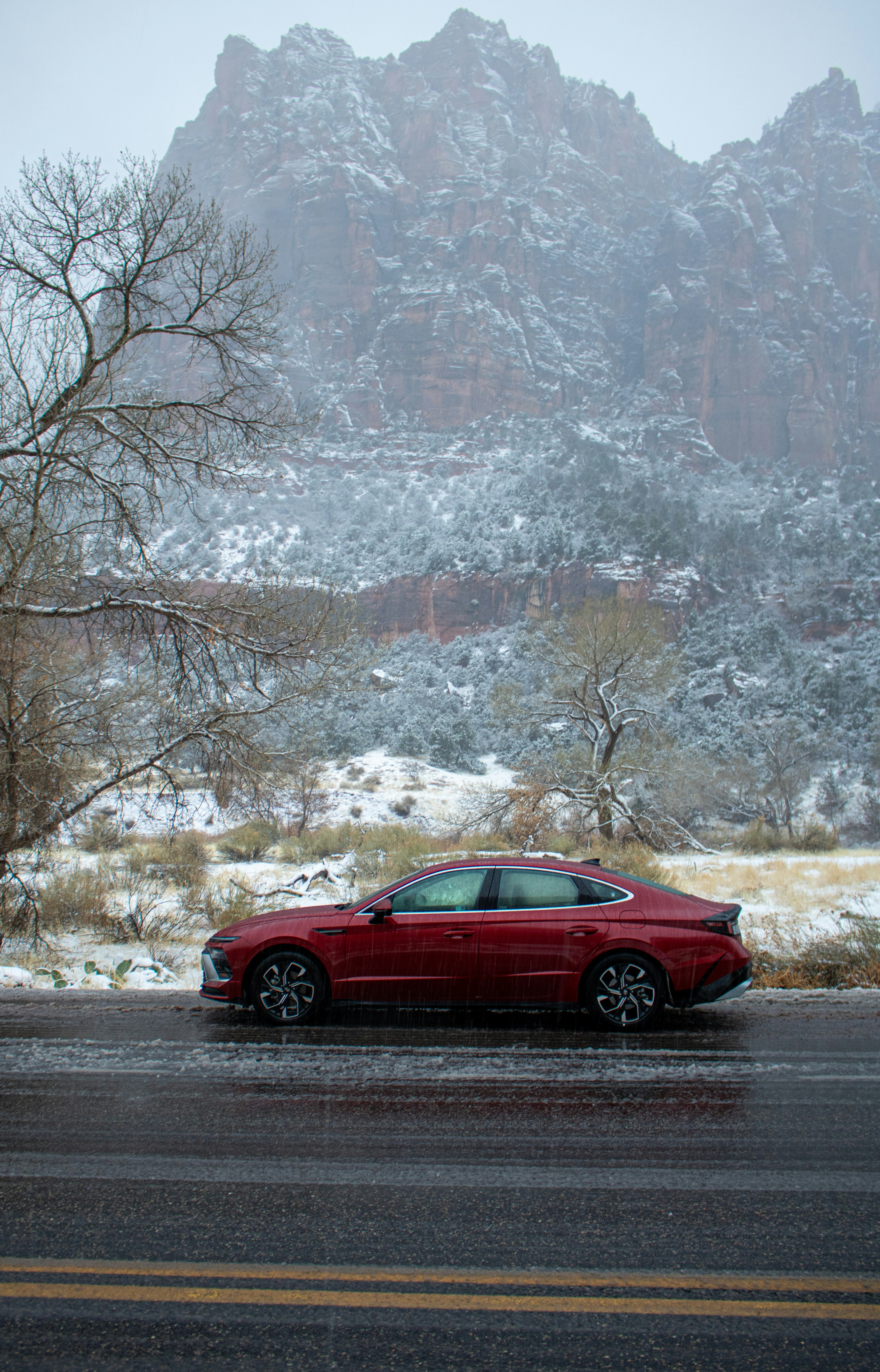 Photo by zoshuacolah