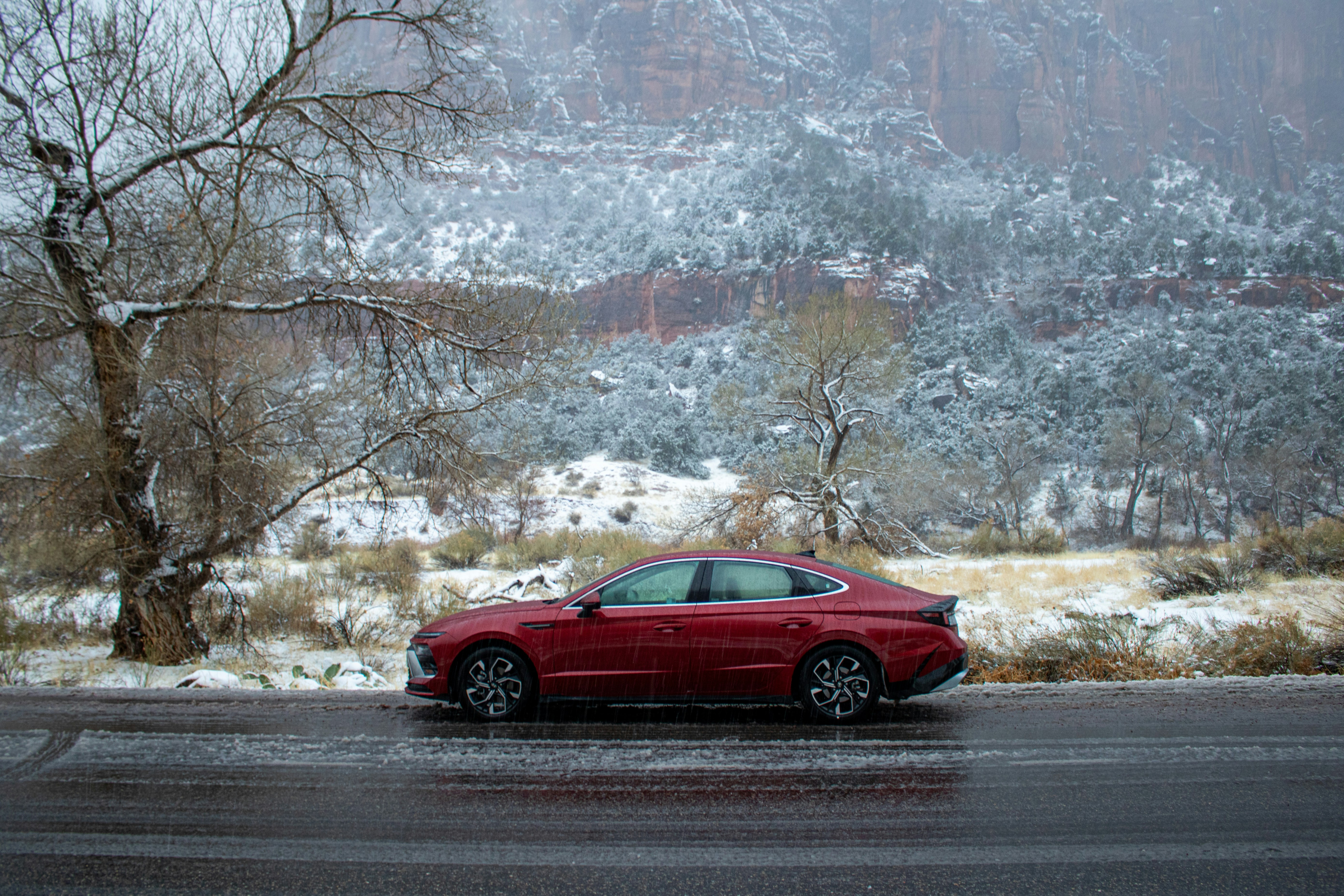 Photo by zoshuacolah