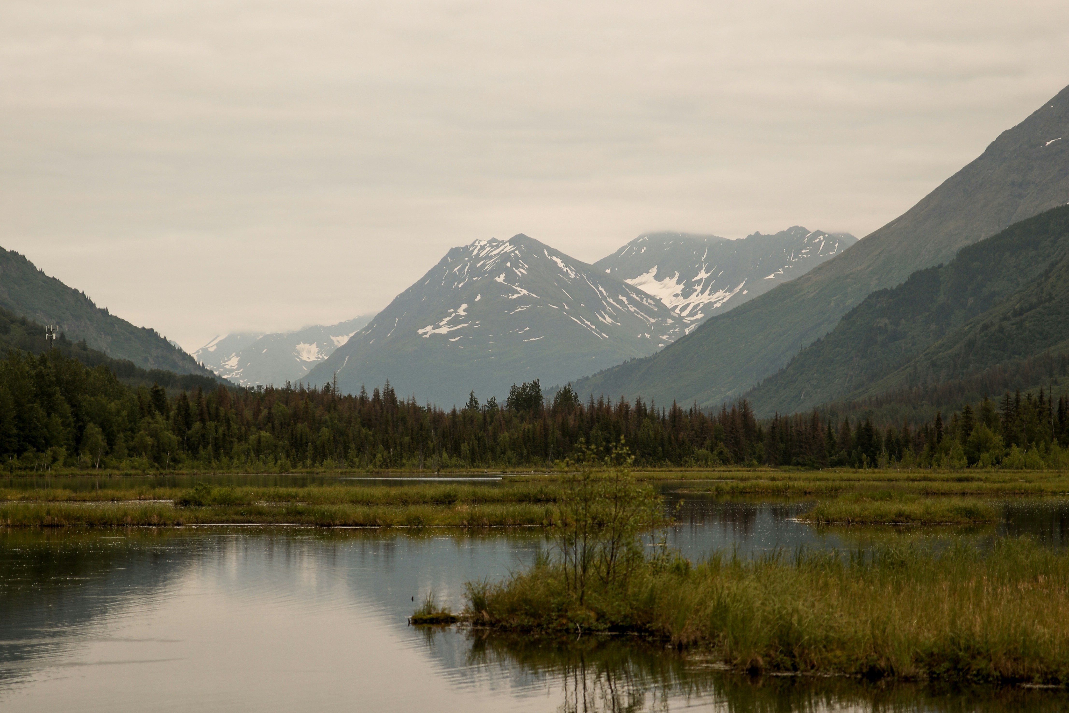 Alaska Wilderness Survival