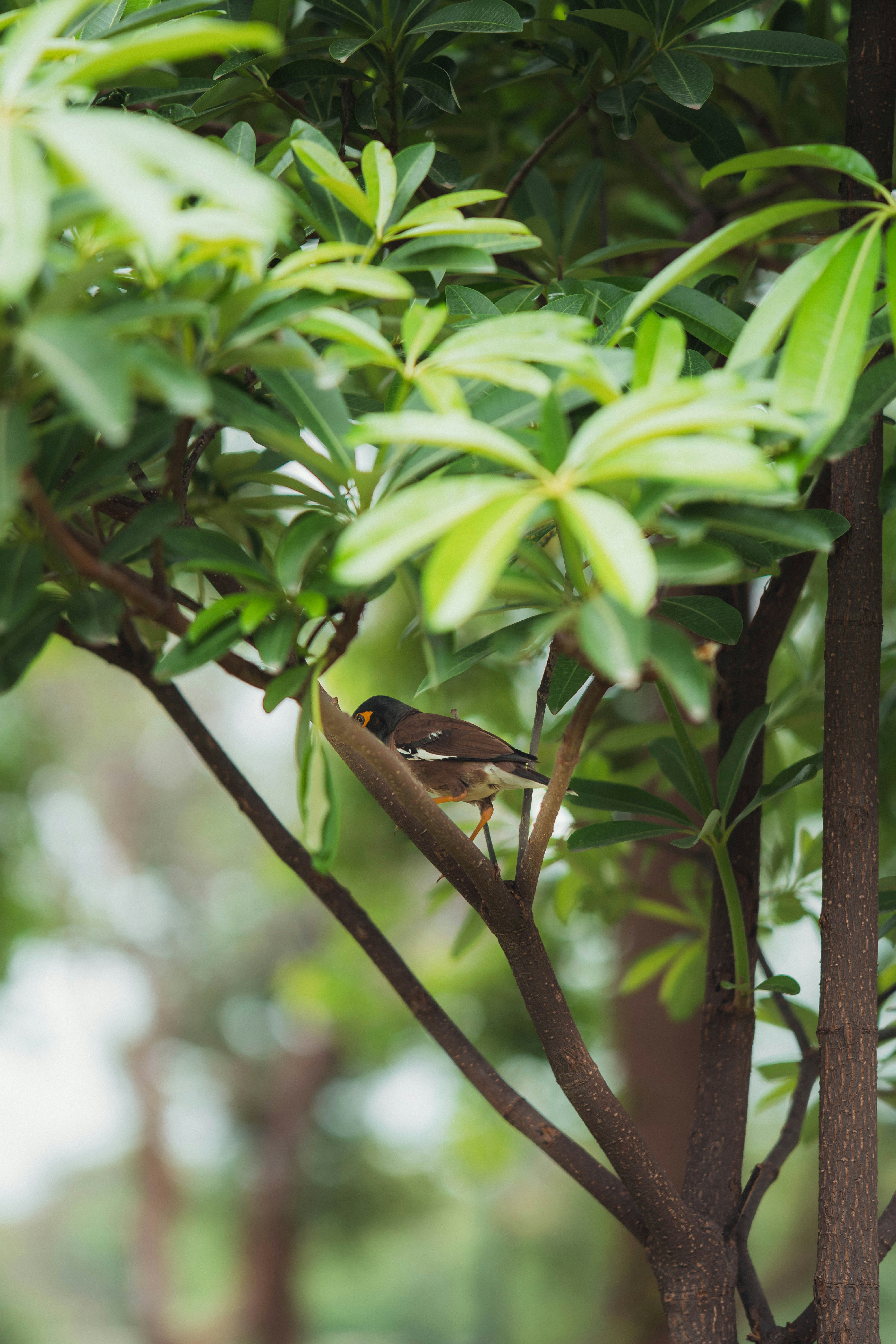 Photo by hasnainayaz_com