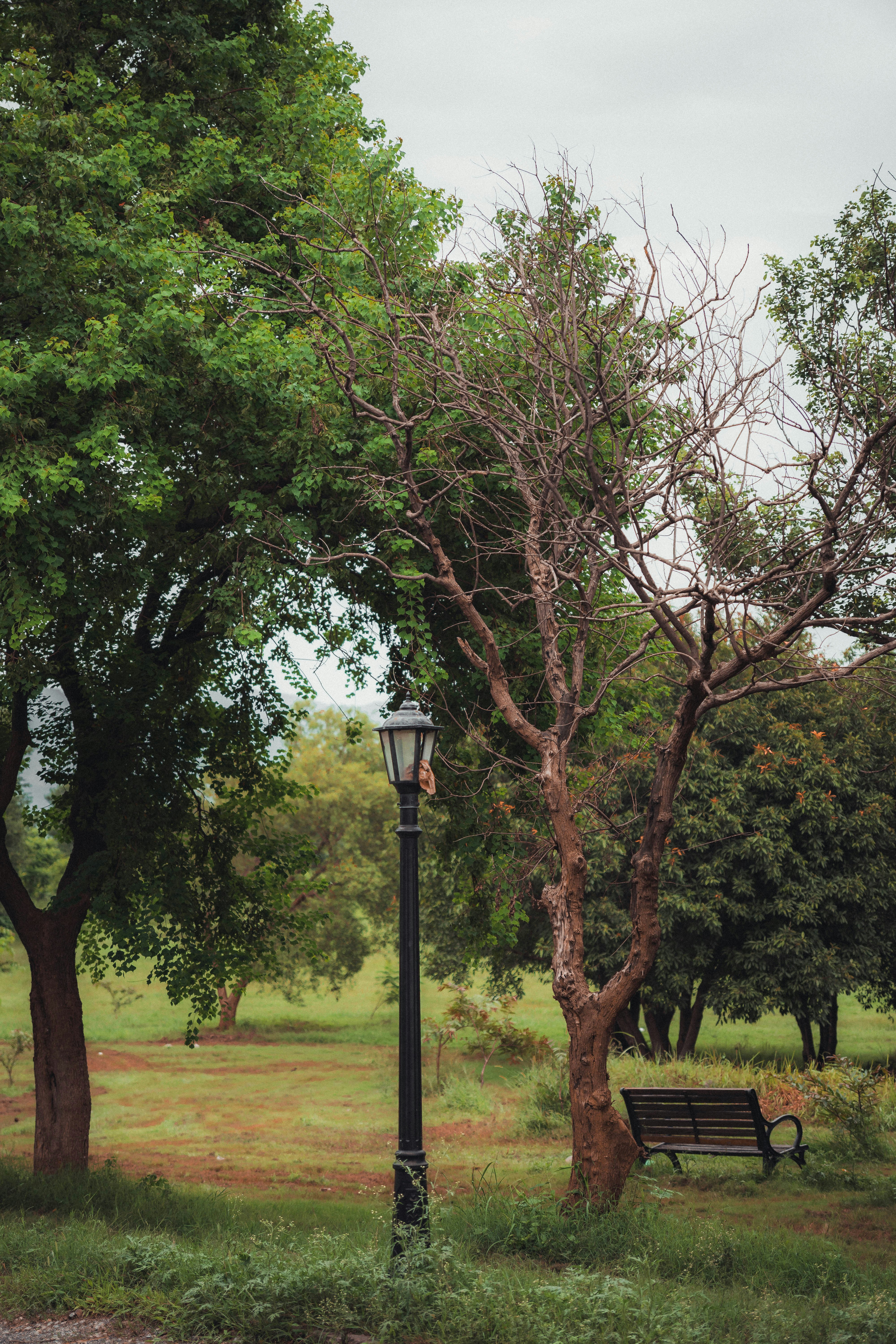 Photo by hasnainayaz_com