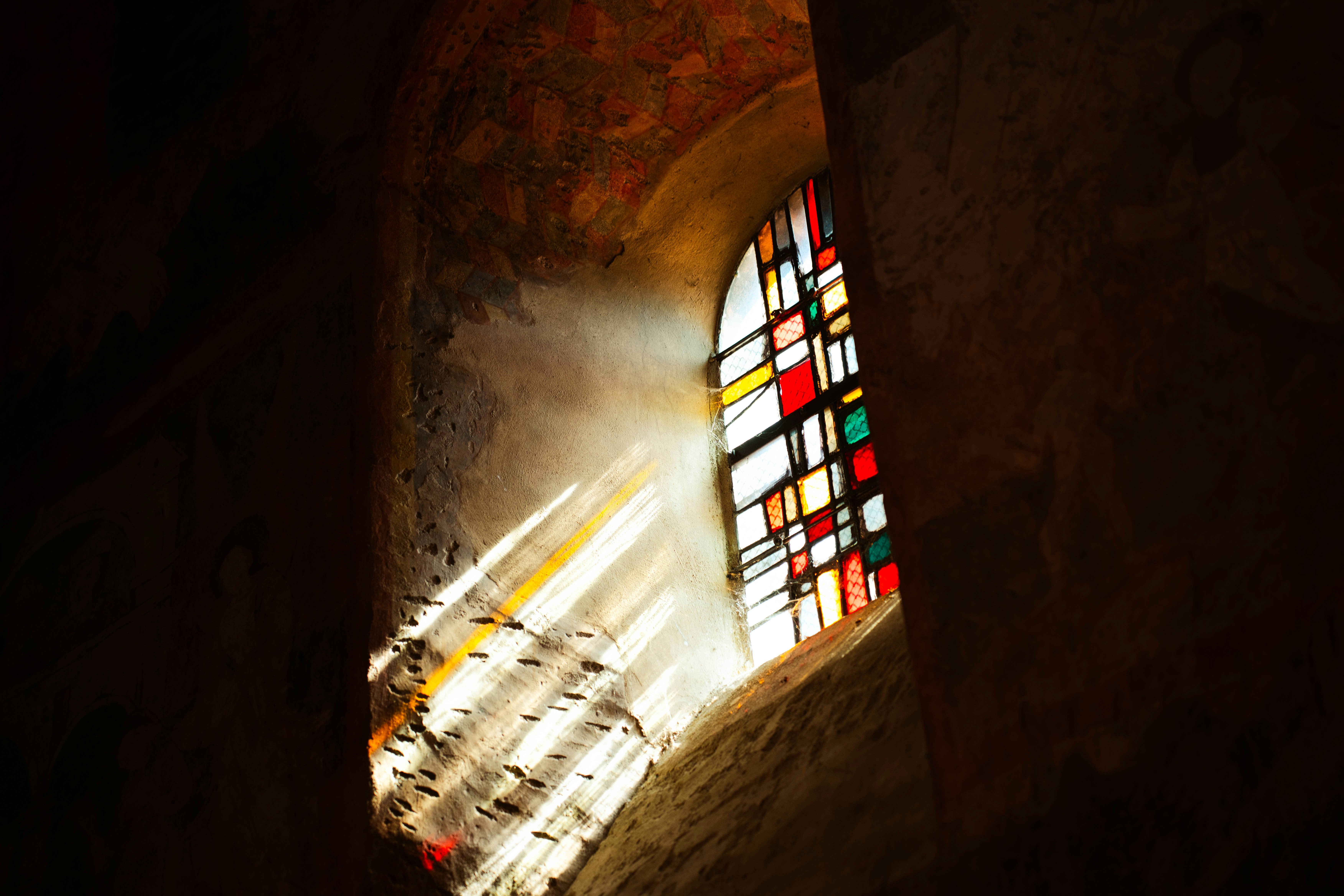 Photo by juniperoverbeke