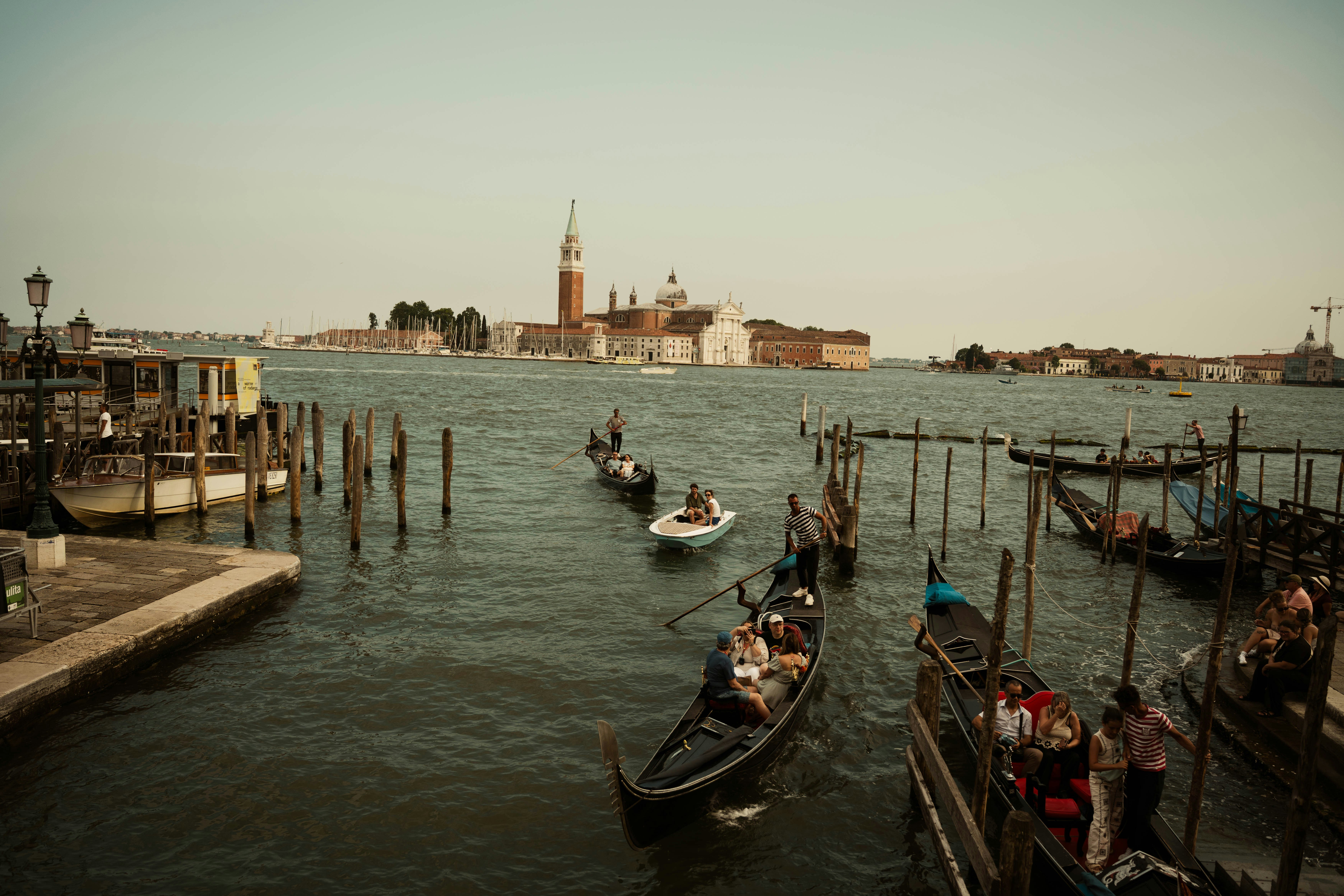 Photo by juniperoverbeke