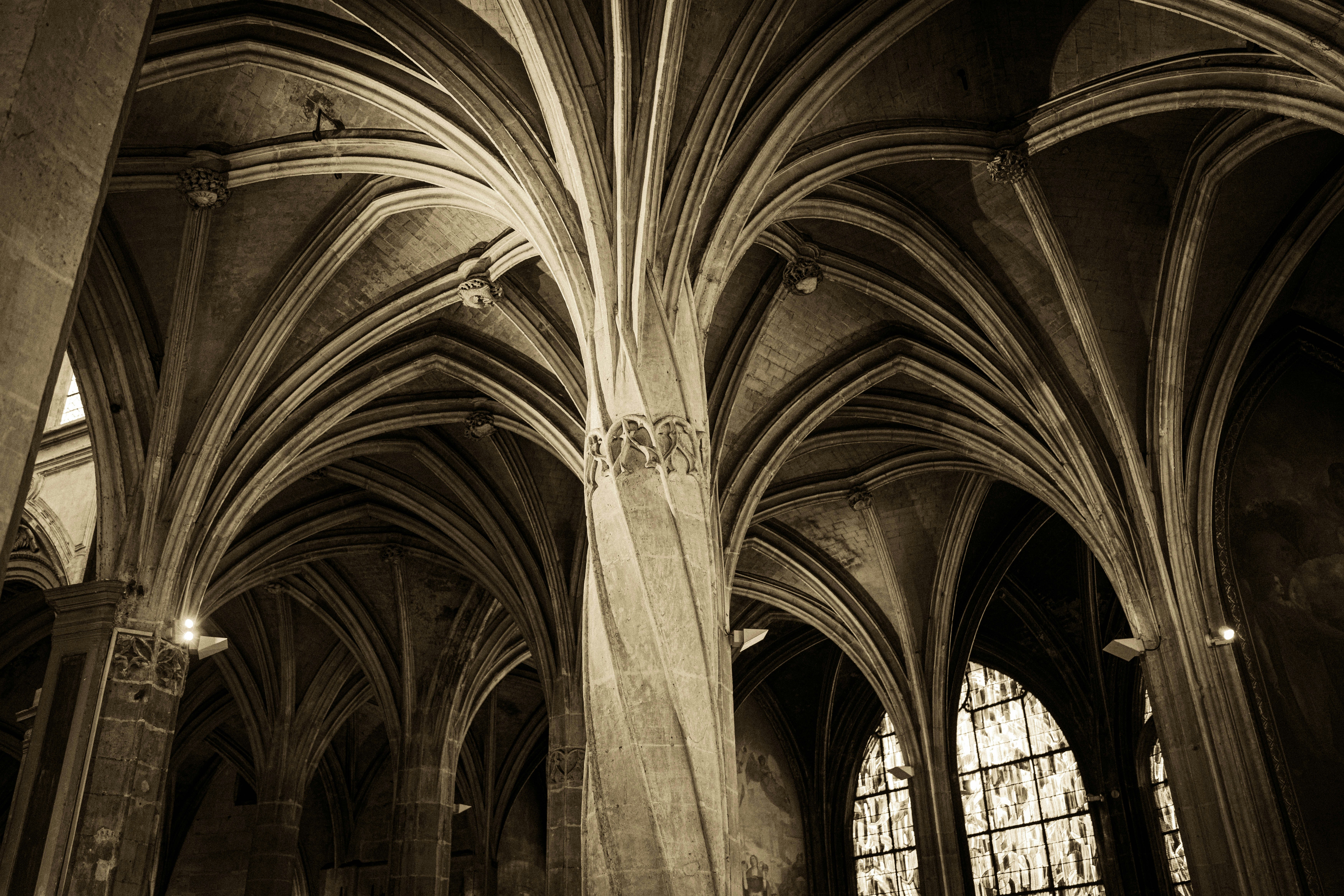 Photo by juniperoverbeke