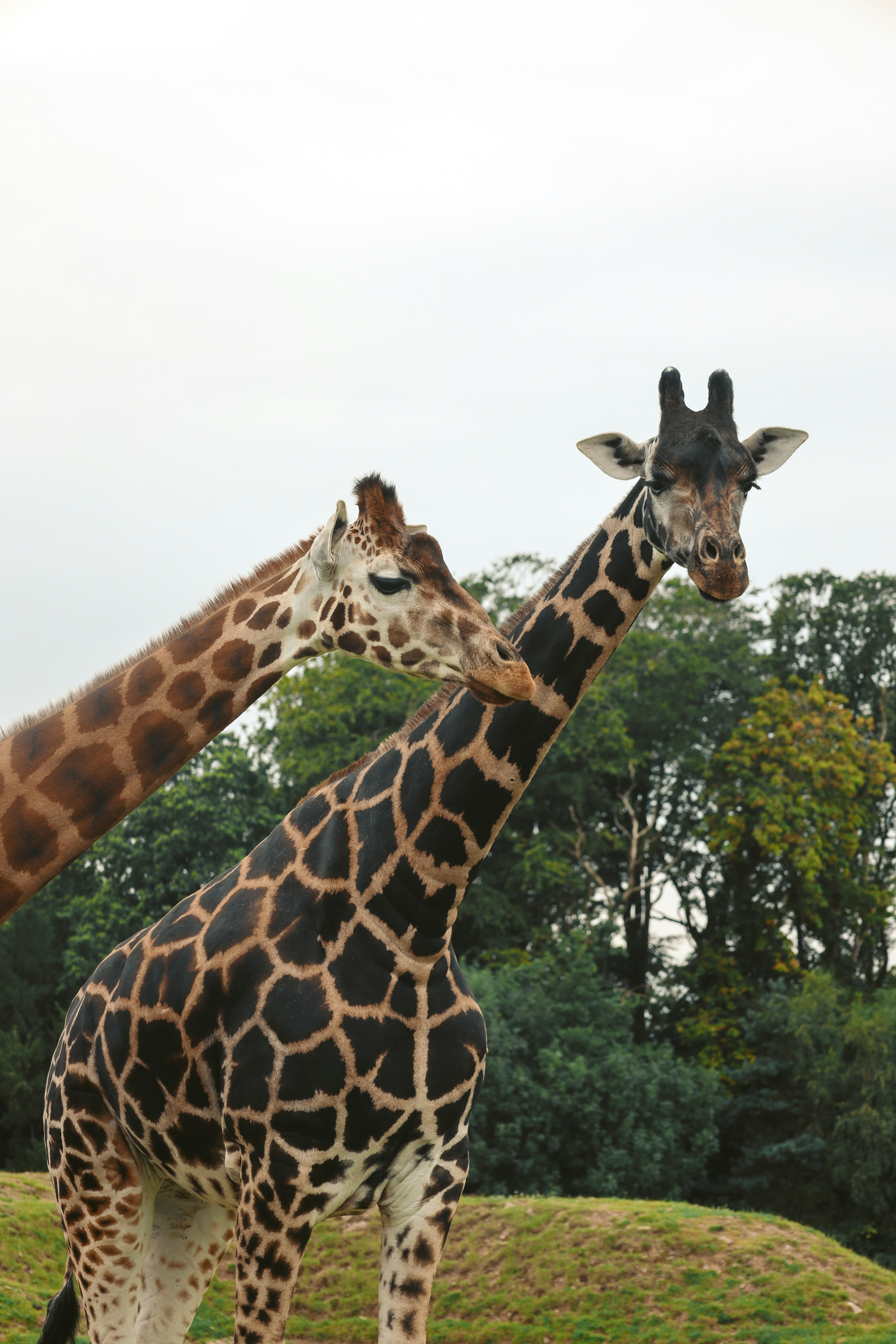 Photo by himo_beast1996