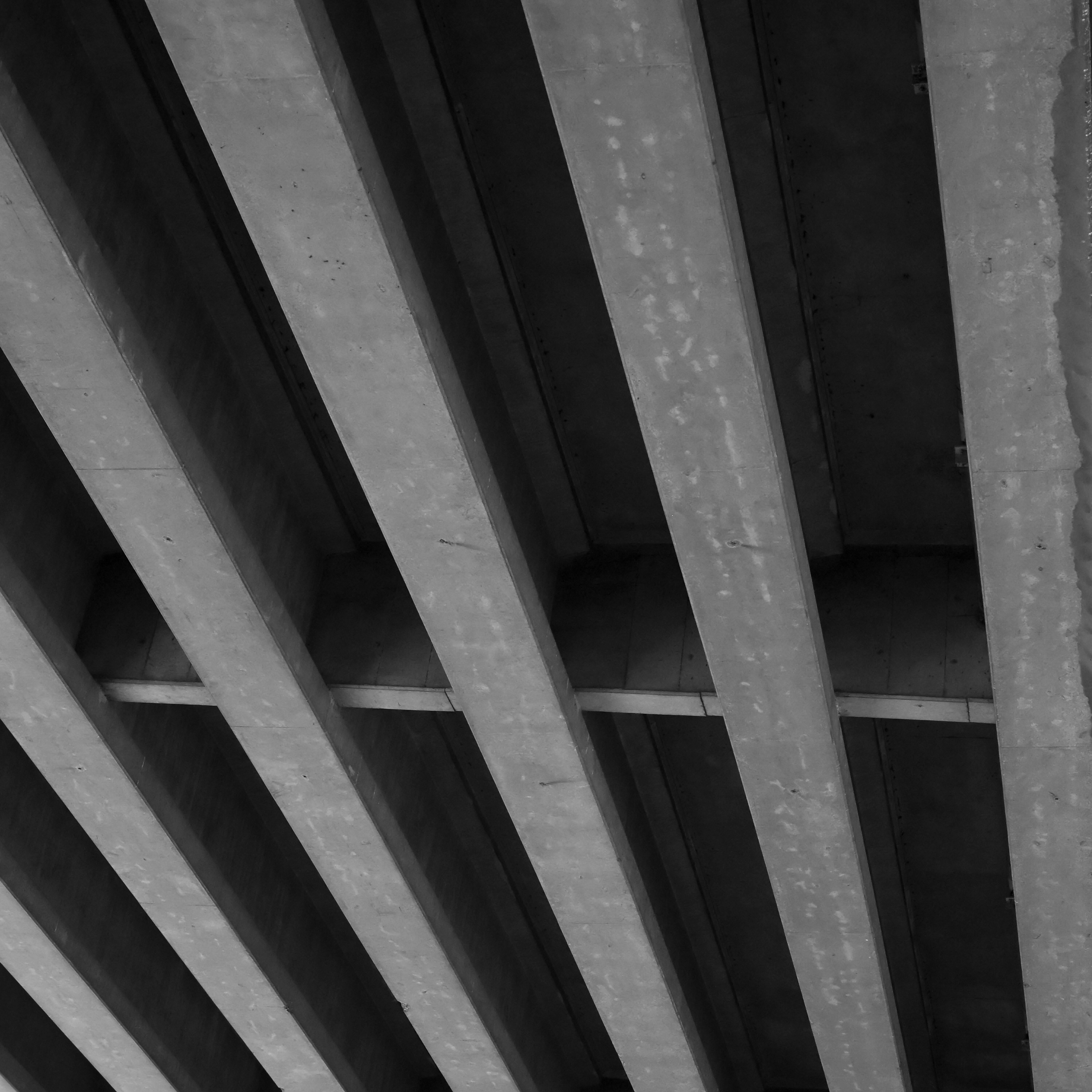 Photo by jonathankslim