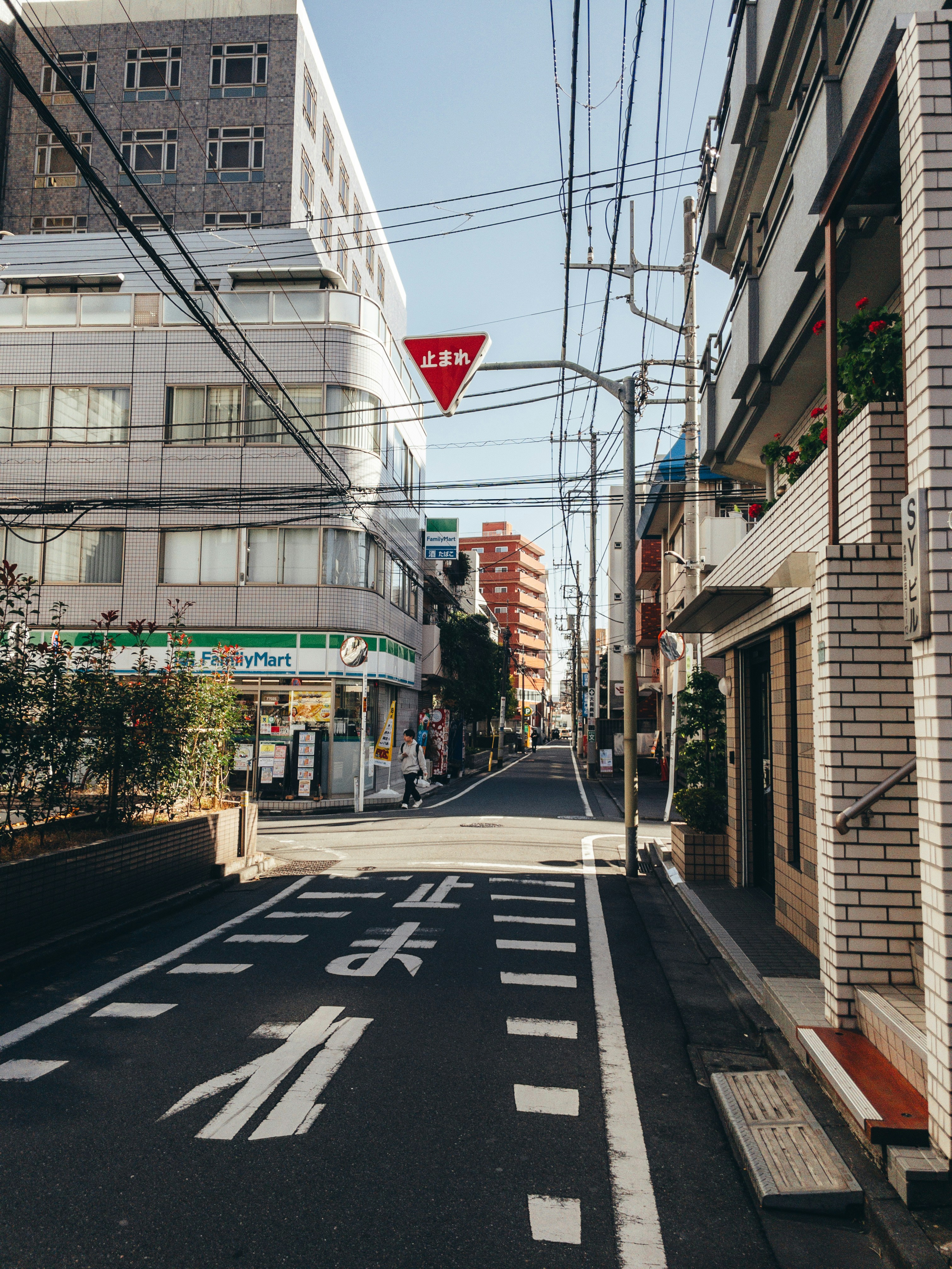 Photo by yokonoito0512