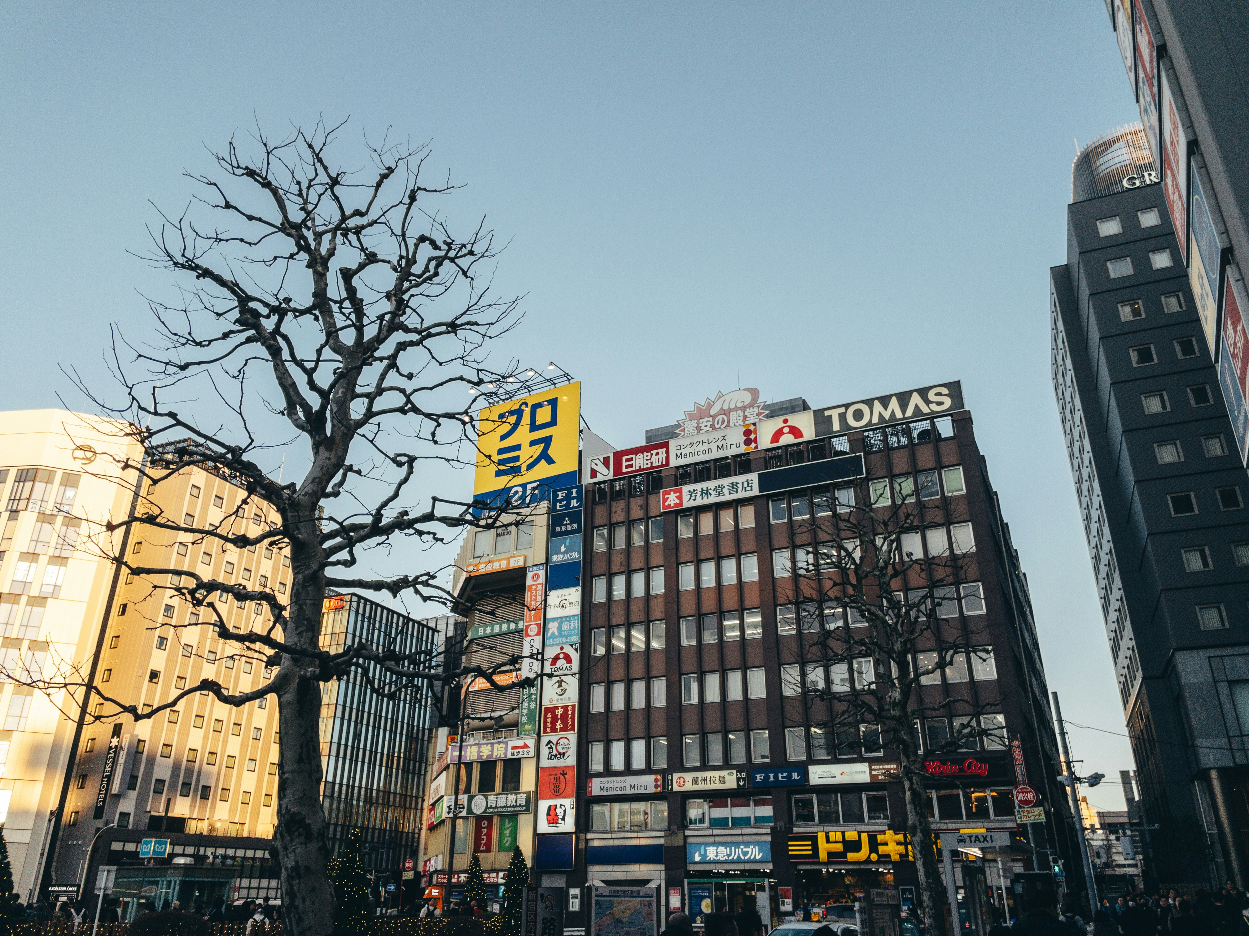 Photo by yokonoito0512