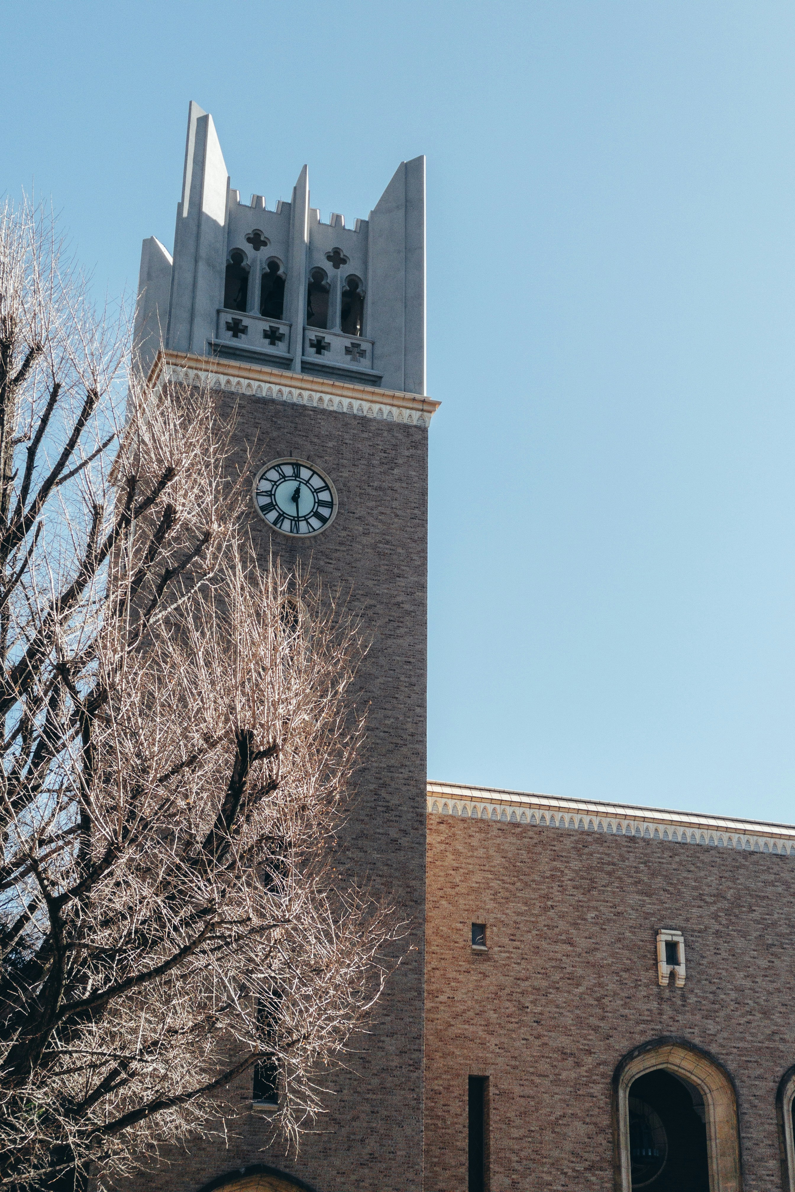 Photo by yokonoito0512