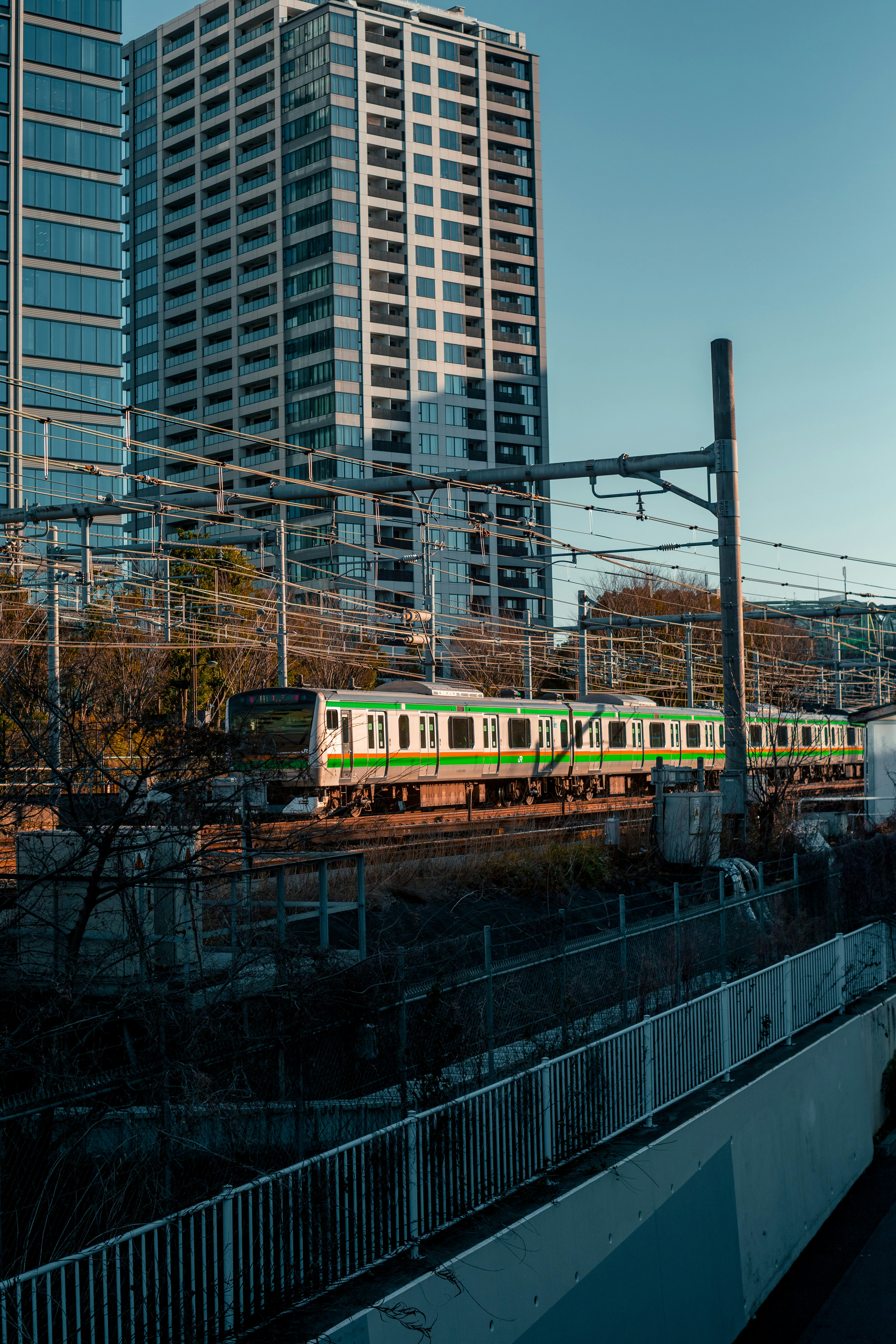 Photo by yokonoito0512