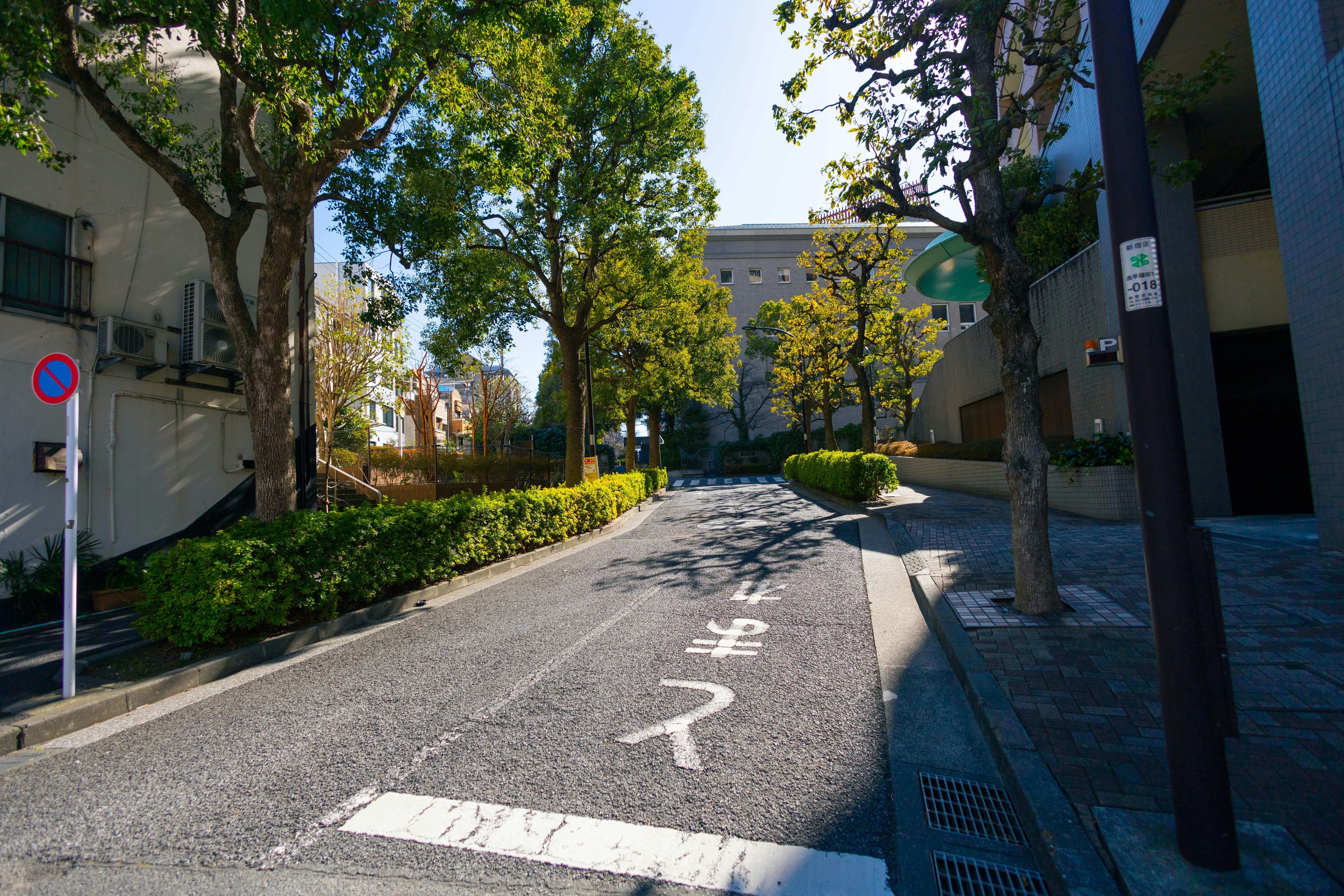 Photo by yokonoito0512