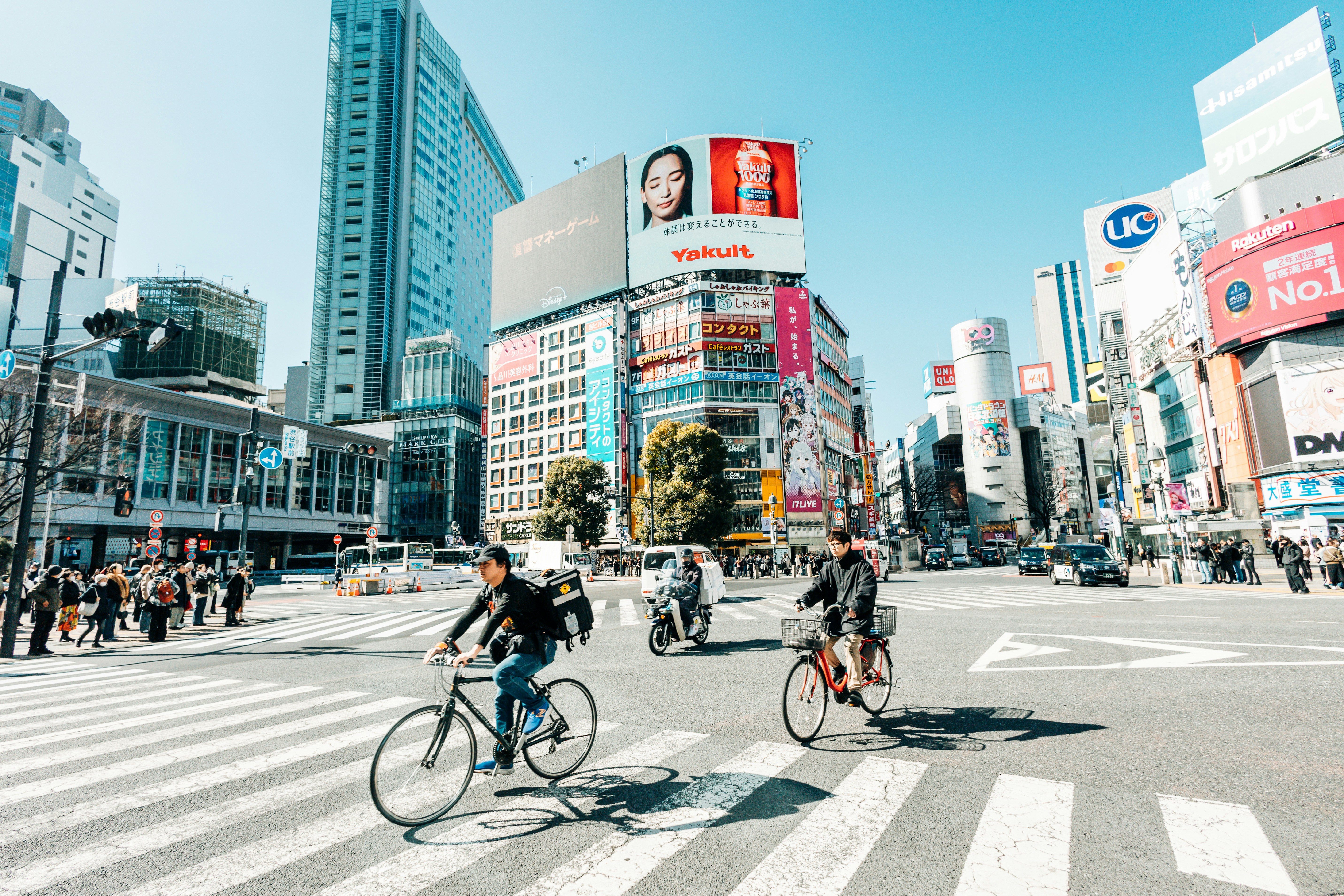 Photo by yokonoito0512