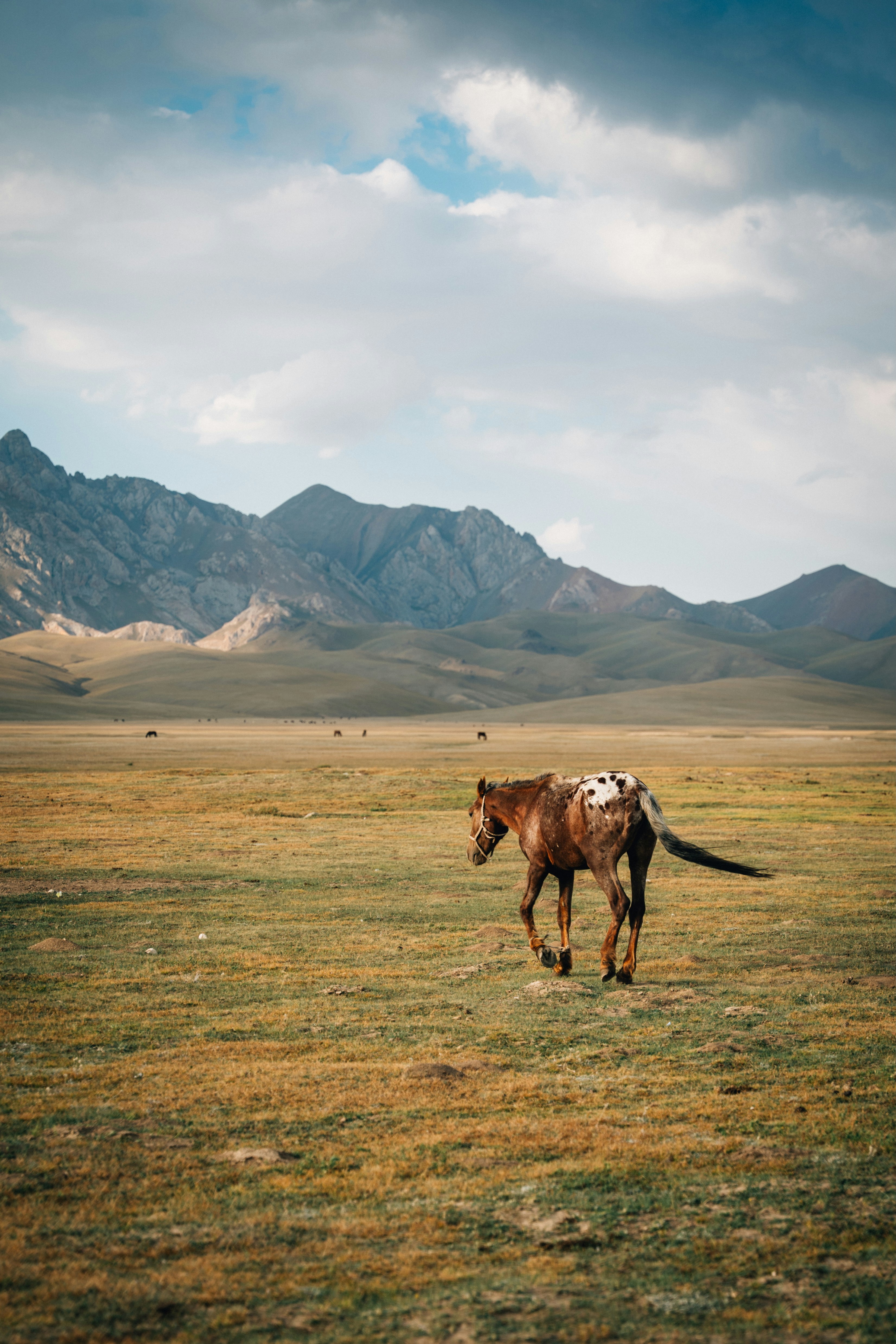 Photo by mathiasdargnat