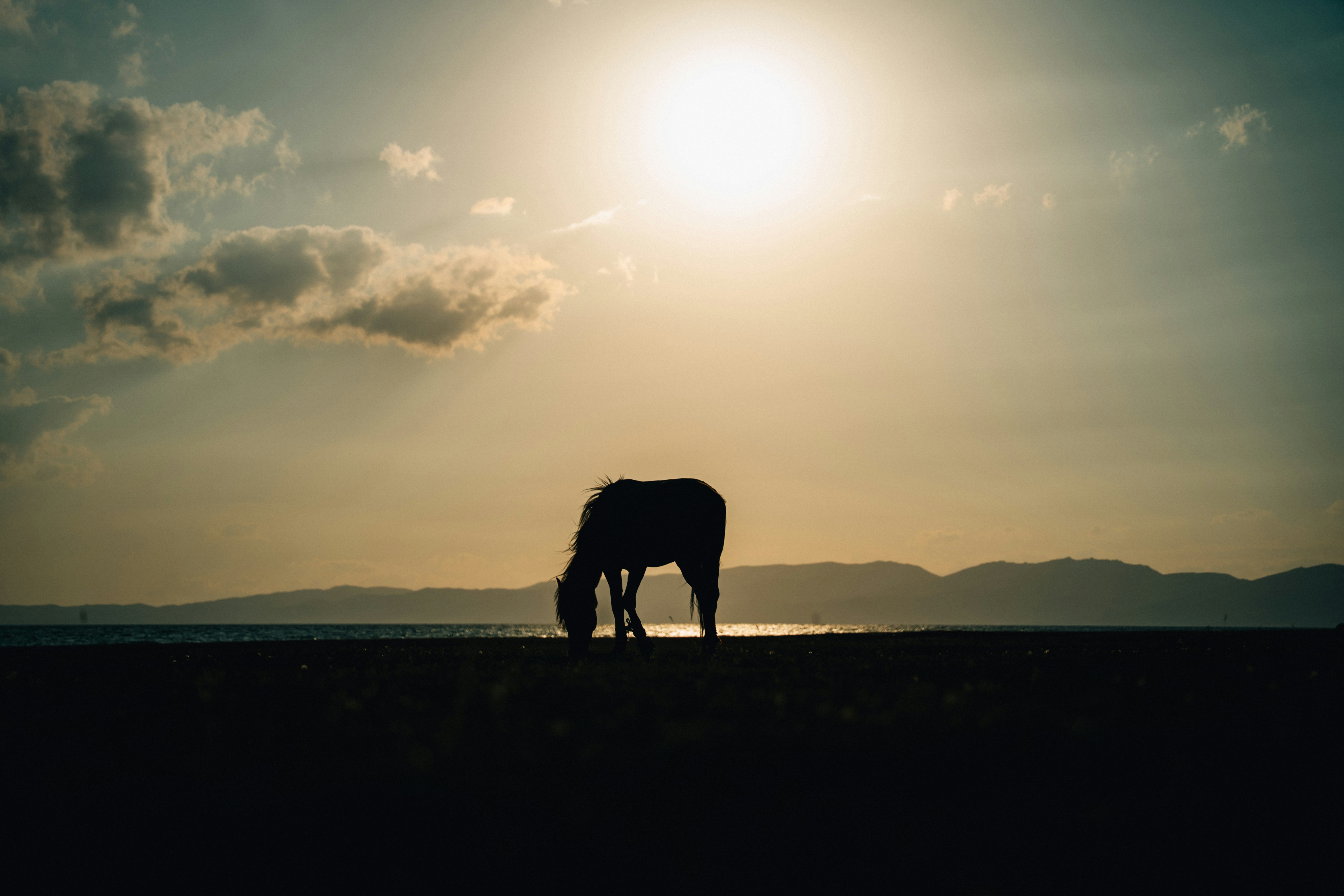 Photo by mathiasdargnat