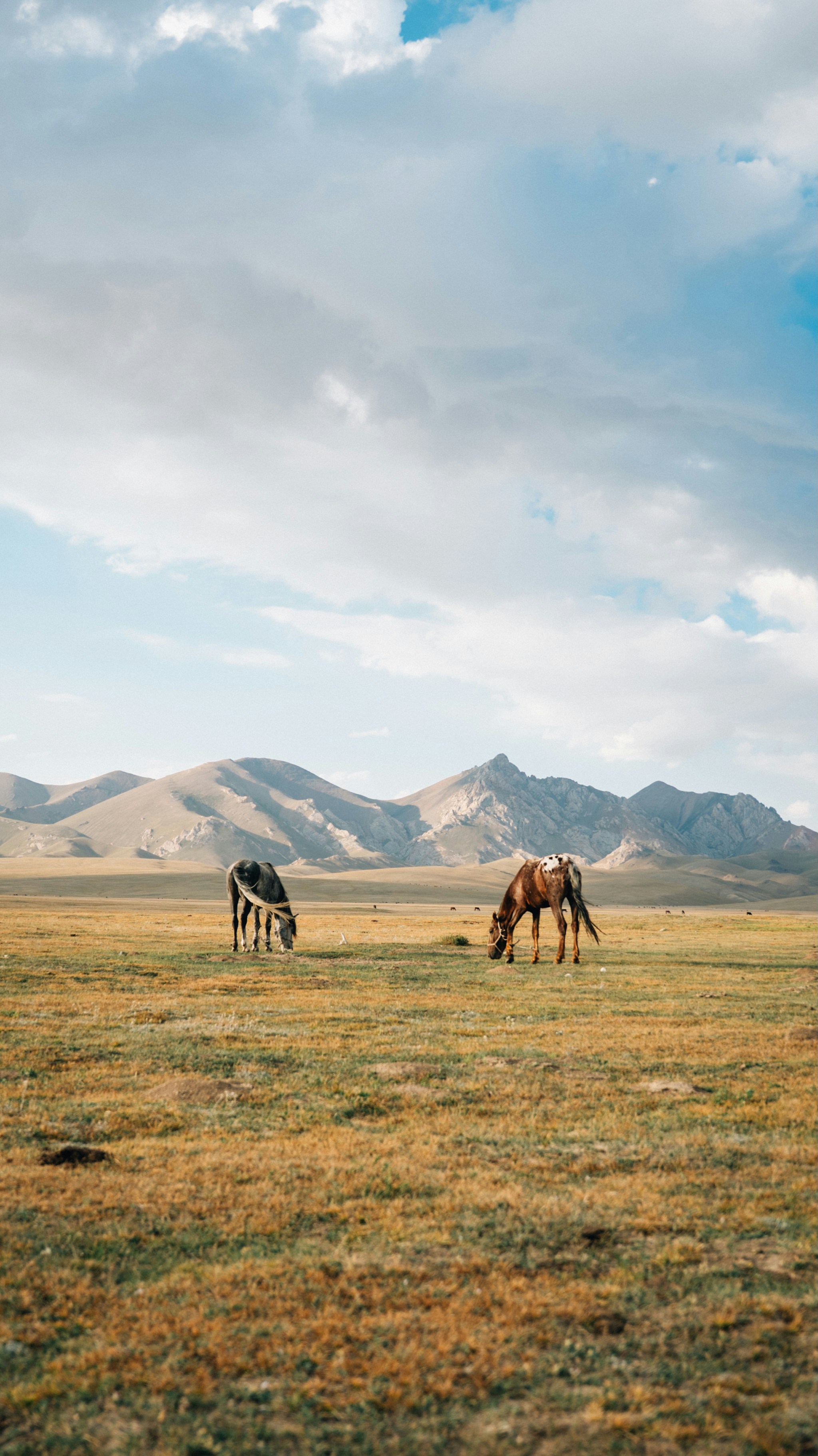 Photo by mathiasdargnat