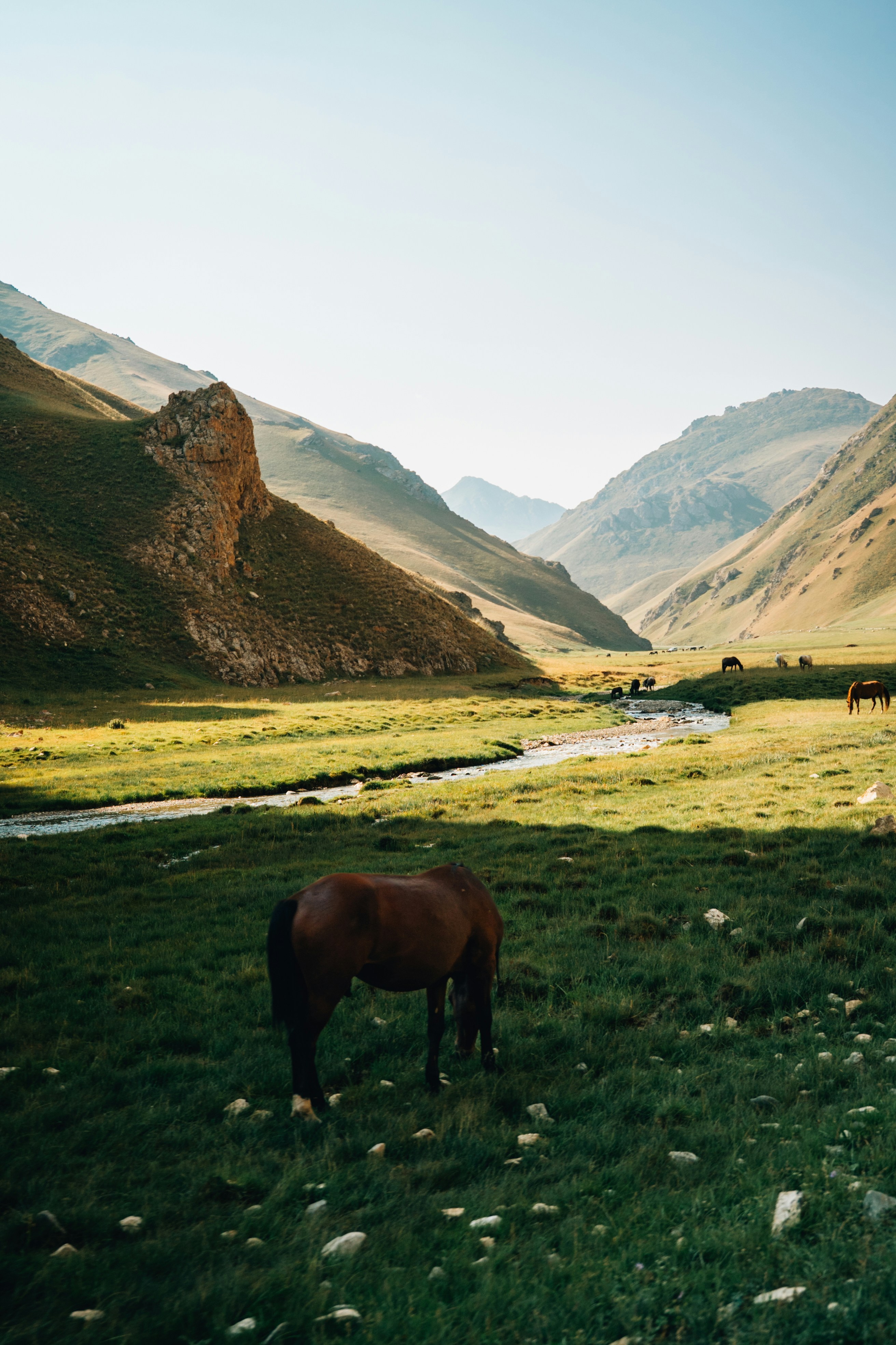 Photo by mathiasdargnat