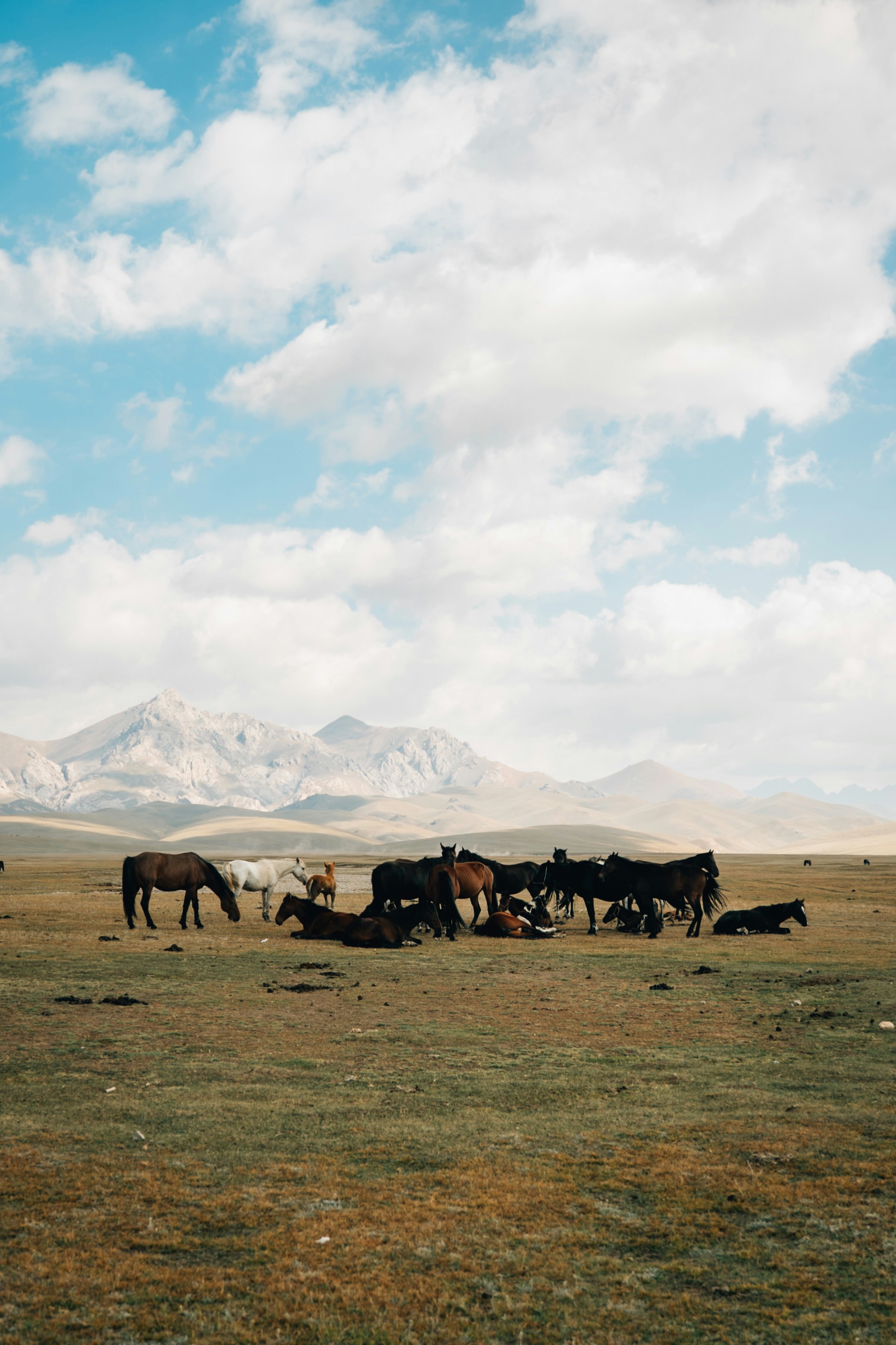 Photo by mathiasdargnat