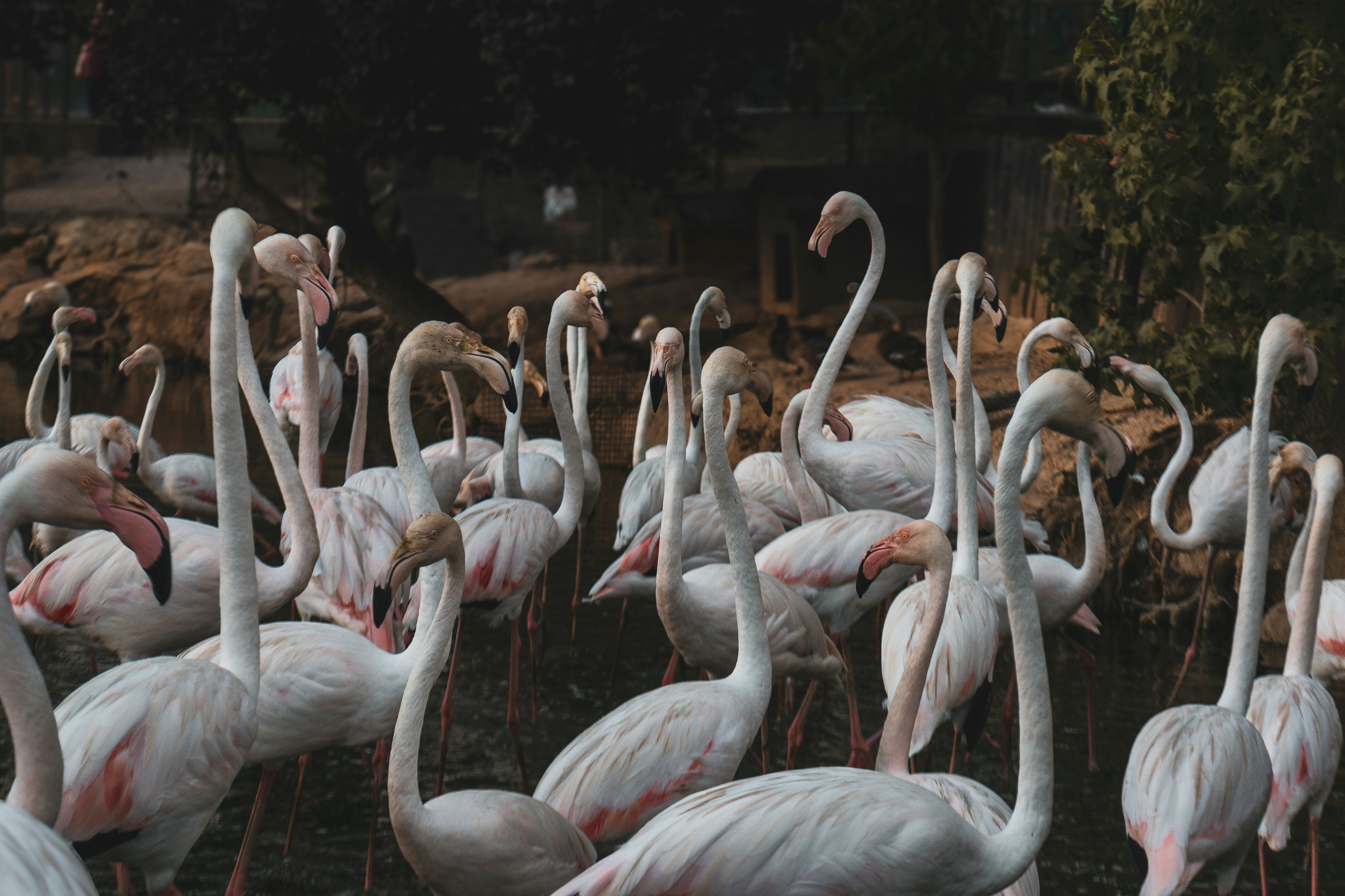 Photo by tunahankuzgun