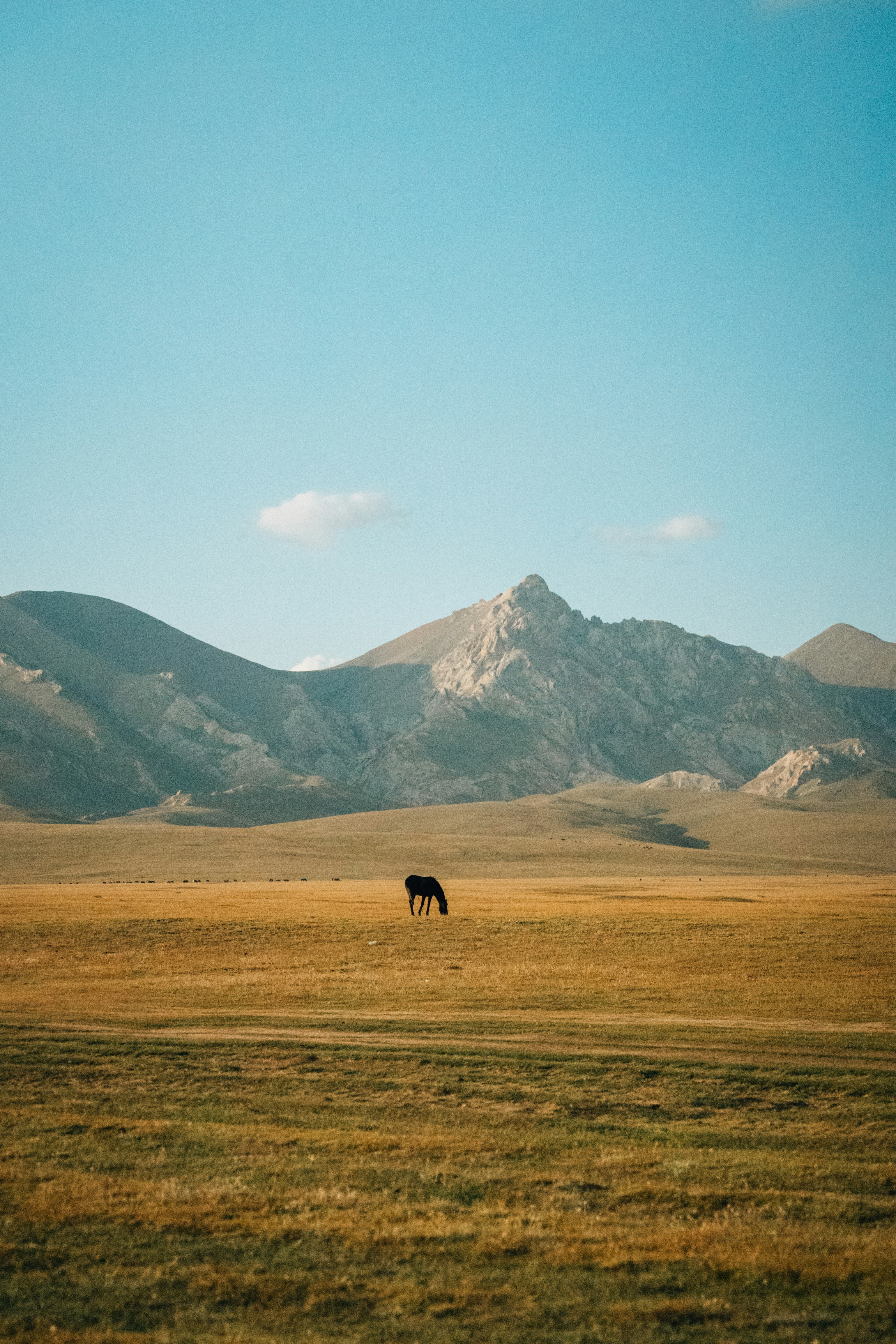 Photo by mathiasdargnat