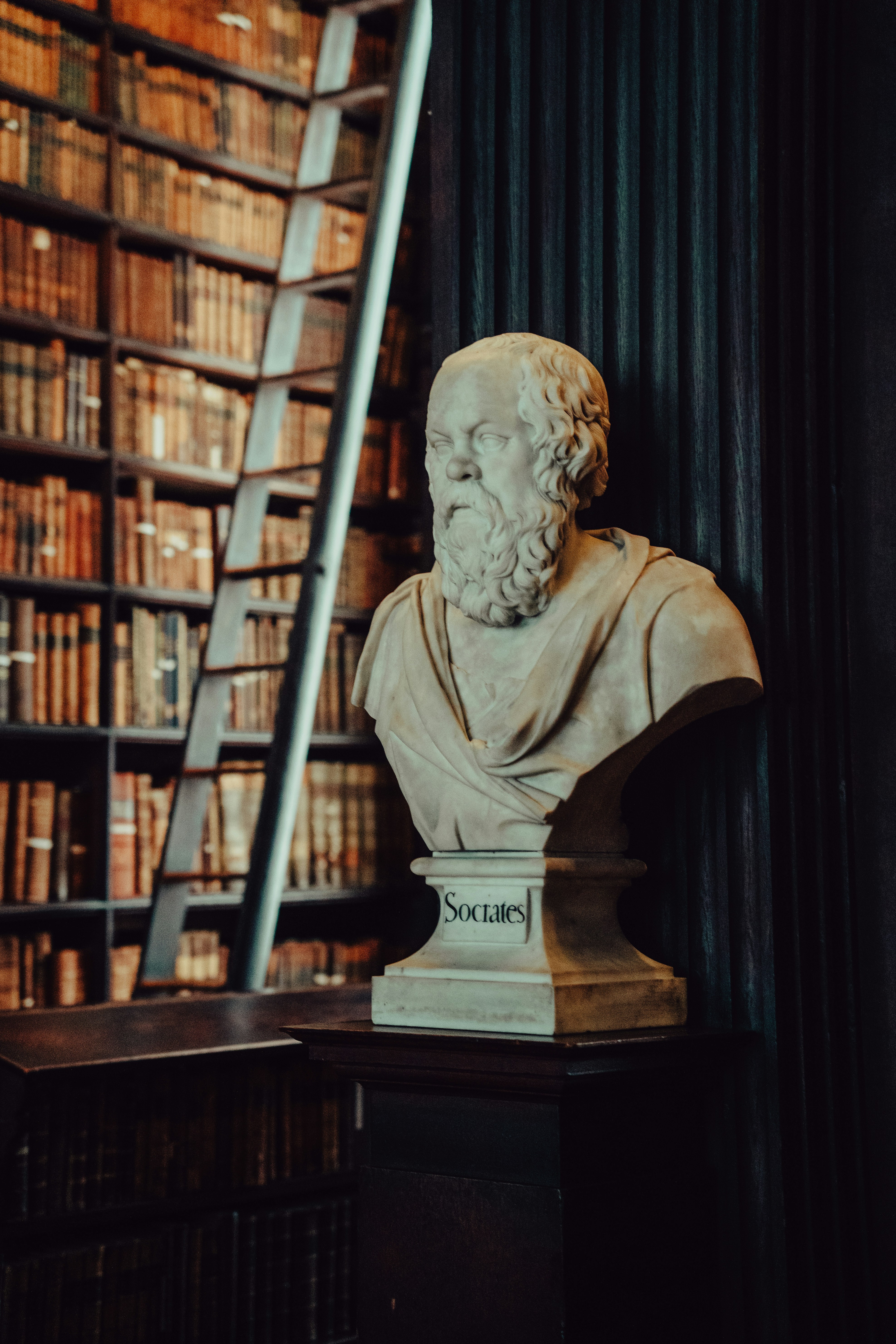 Bust of socrates in a library with a ladder