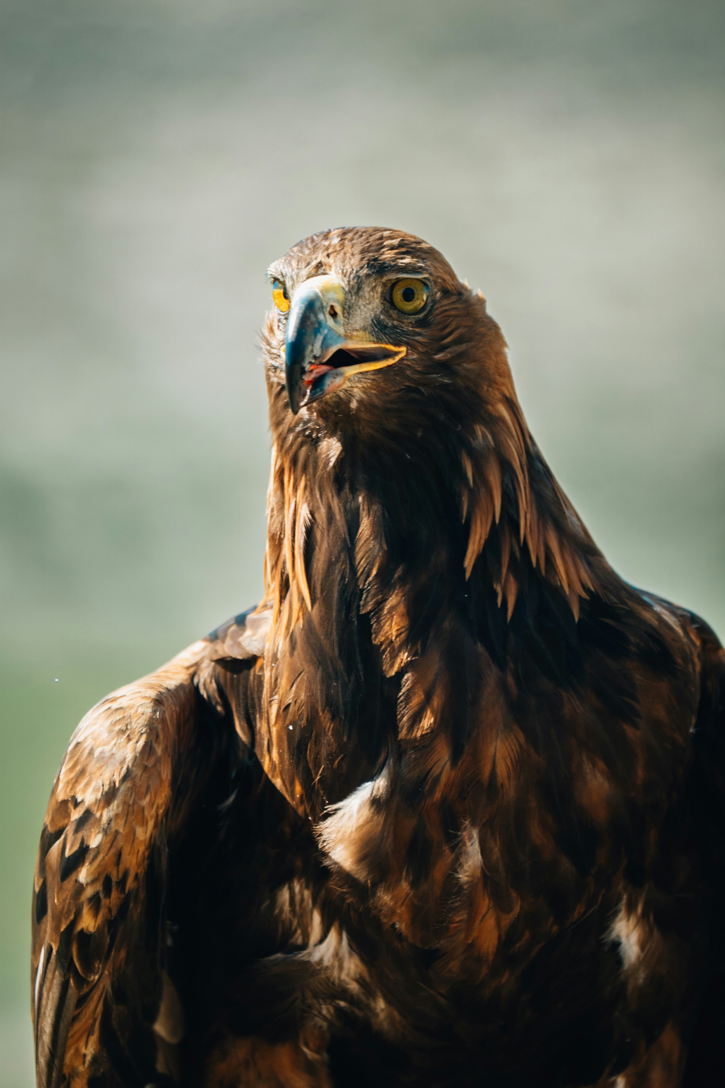 Photo by mathiasdargnat