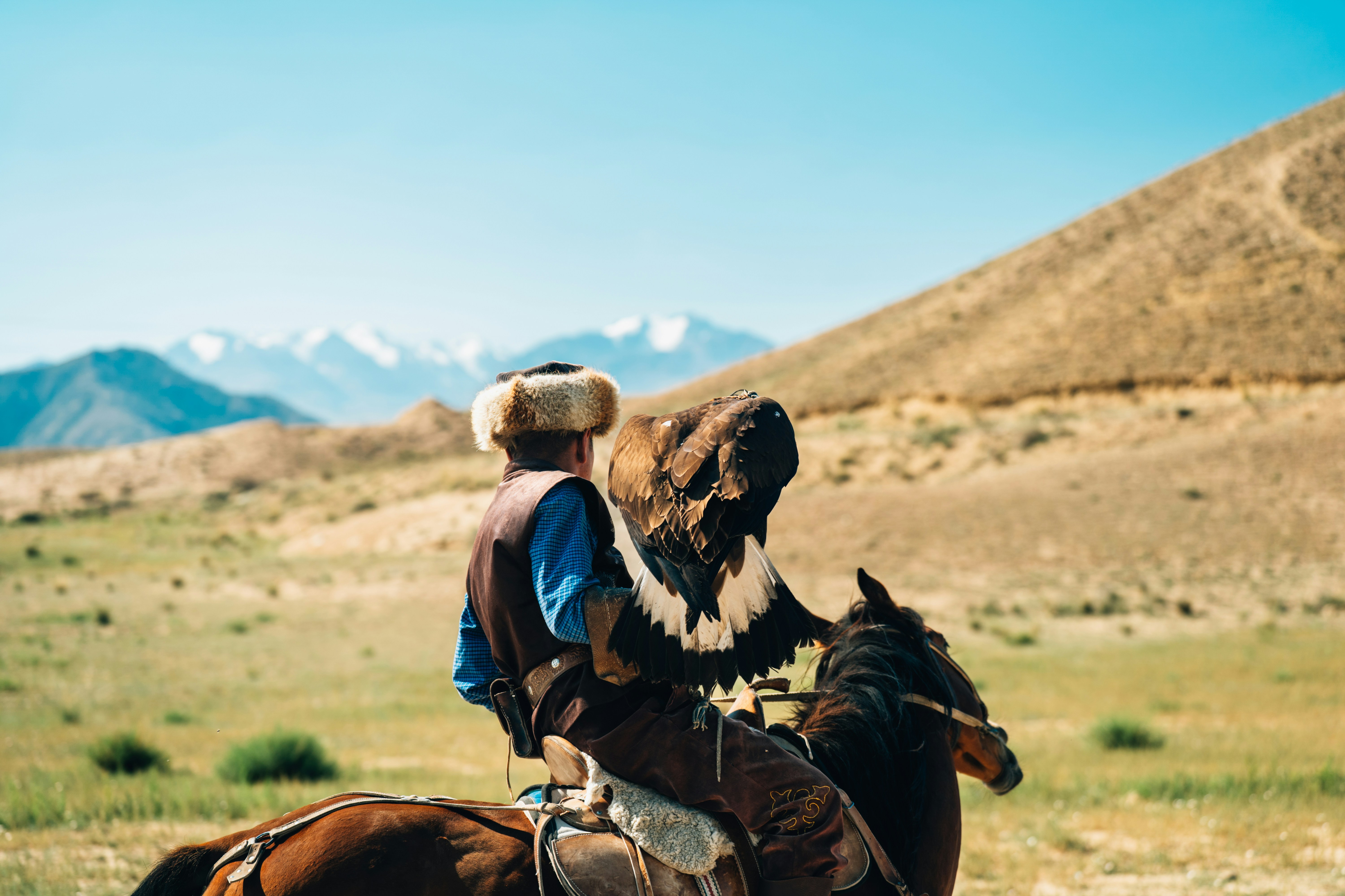 Mann mit traditionellem Hut mit Adler auf dem Pferd