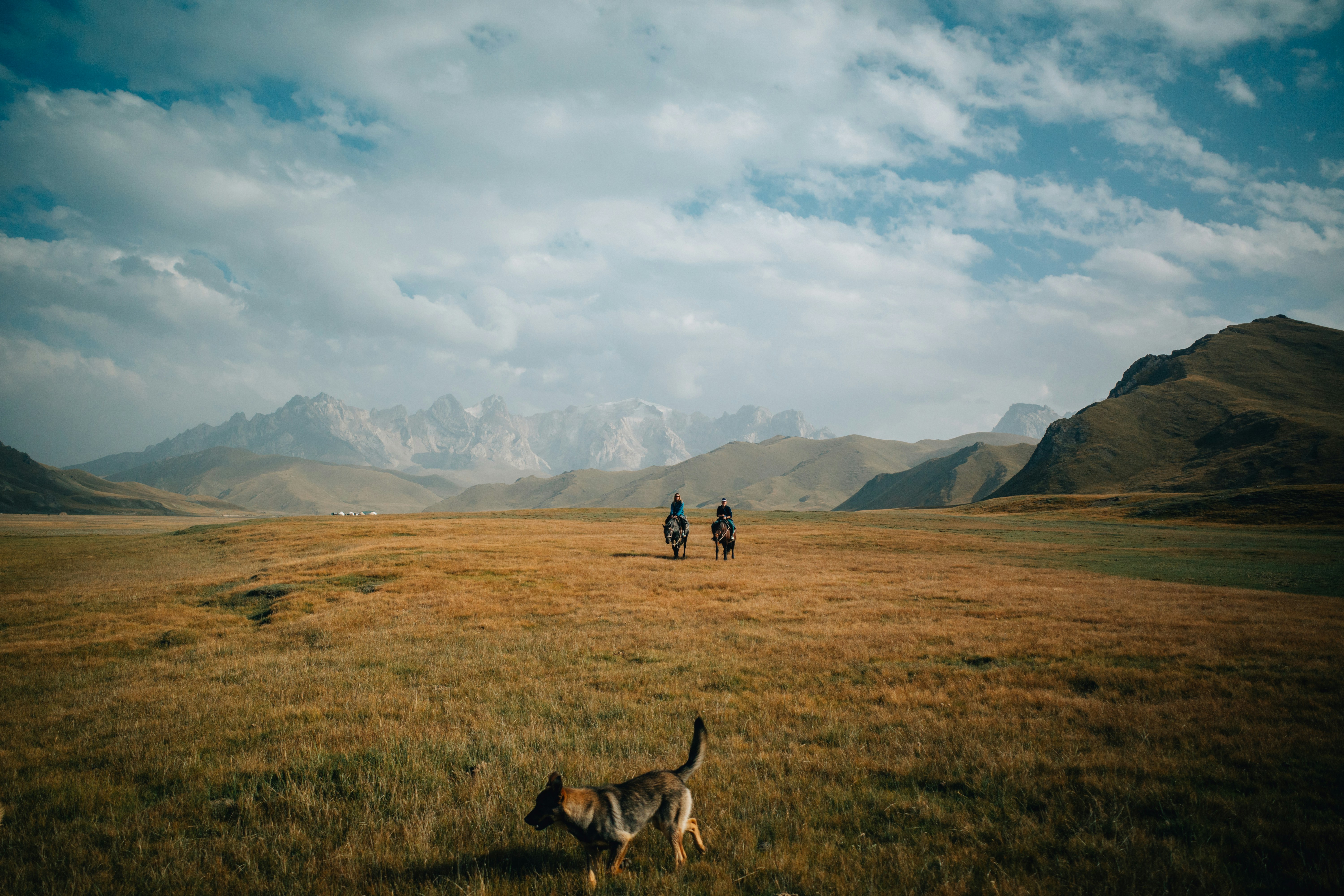 Zwei Menschen zu Pferd mit Hund in weitläufiger Landschaft