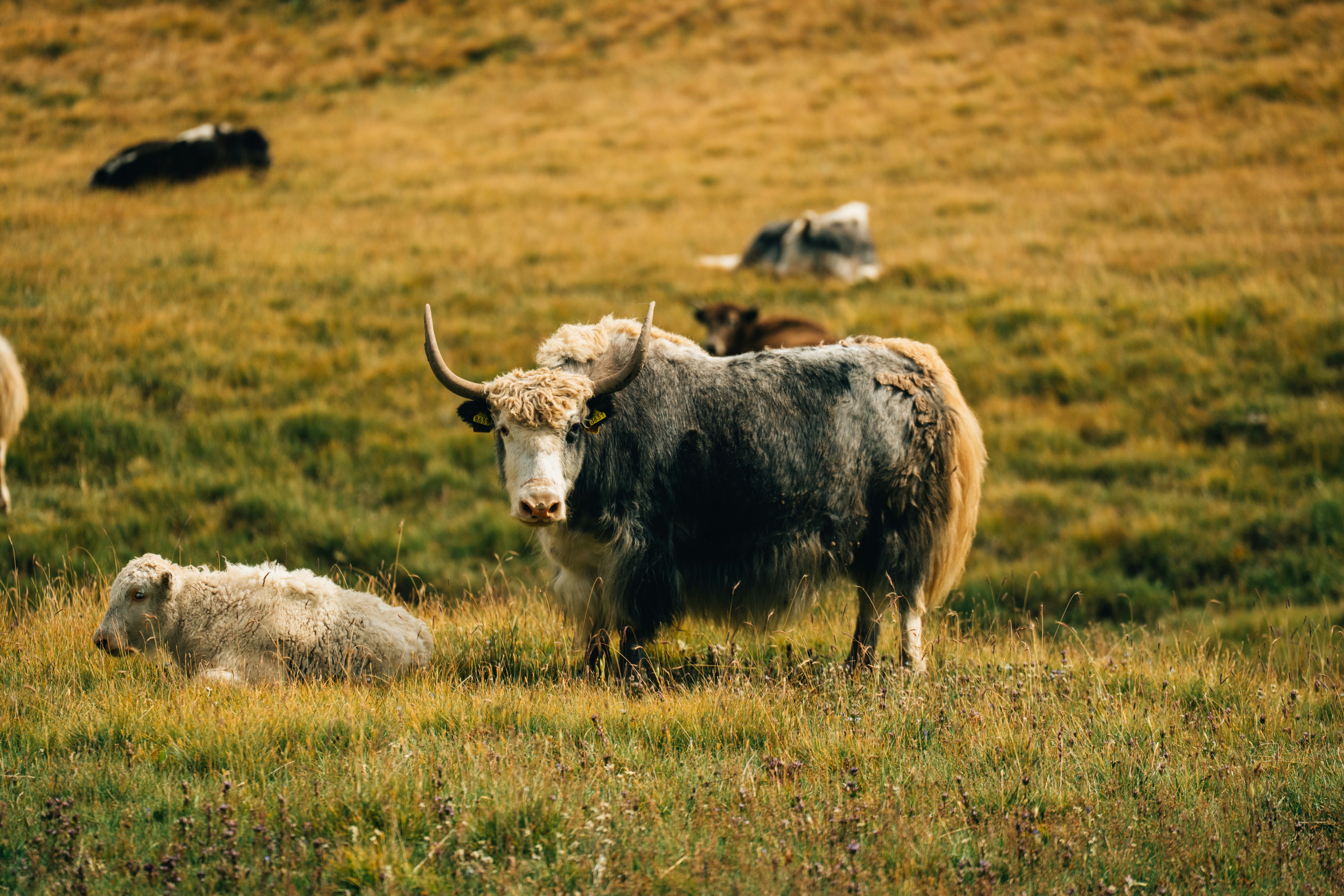 Photo by mathiasdargnat