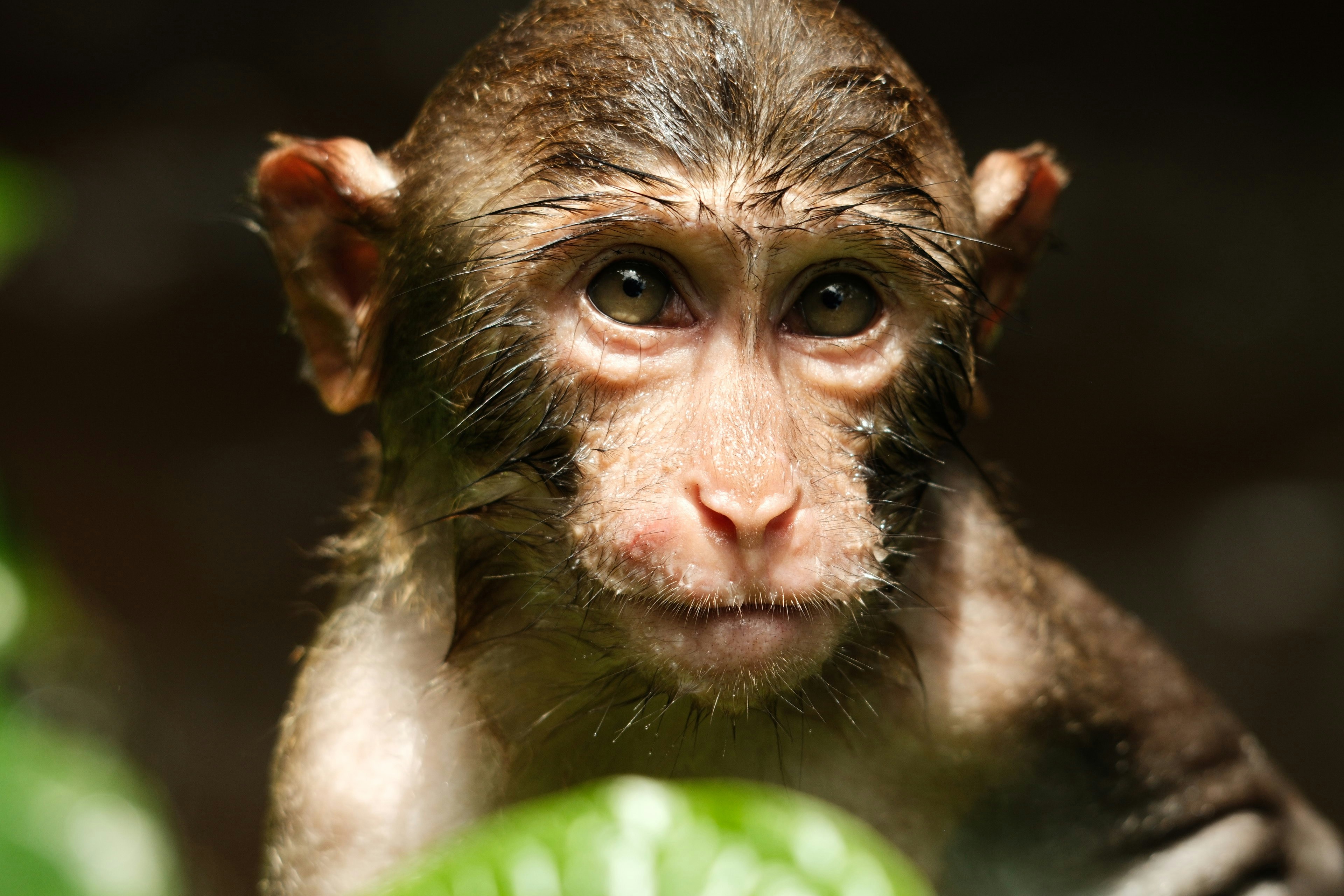 Photo by jeffrytwice