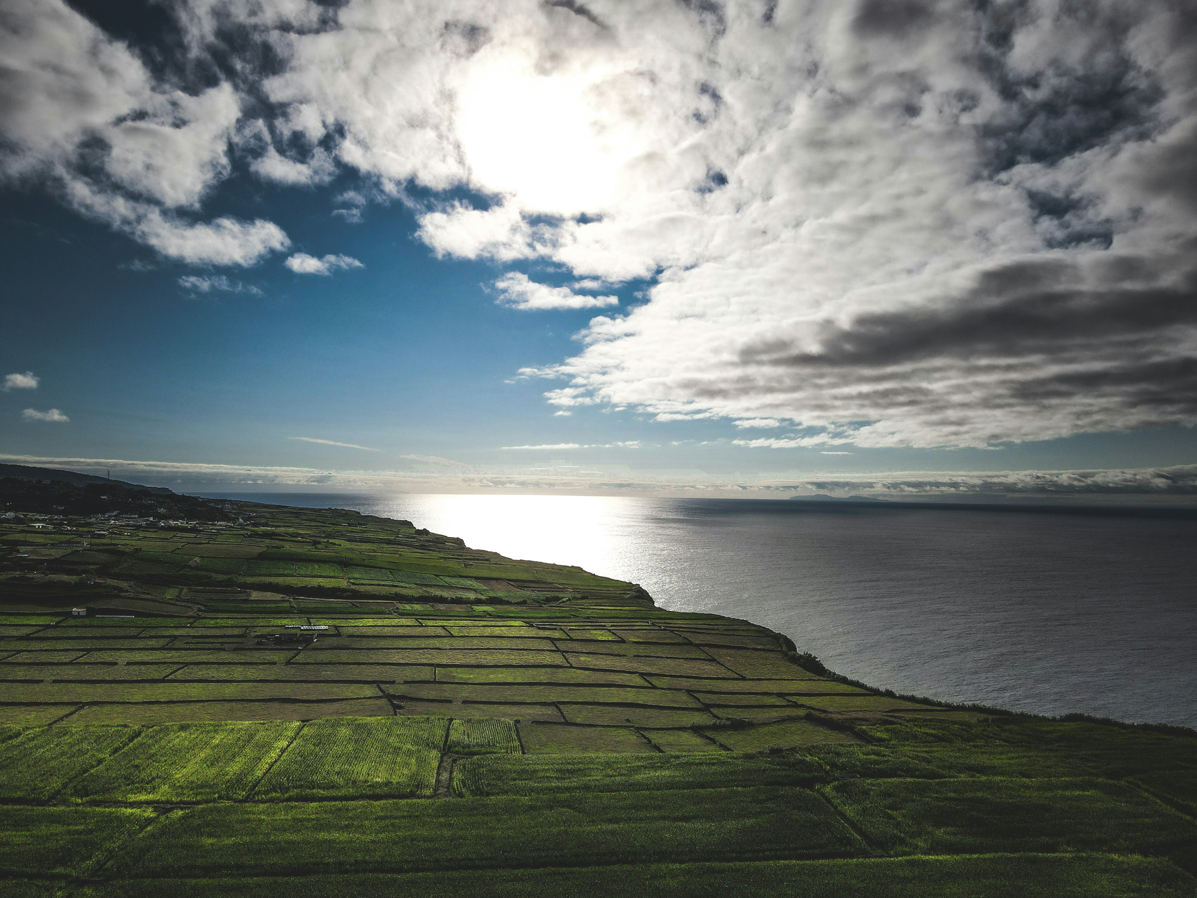 Photo by francesco_ungaro