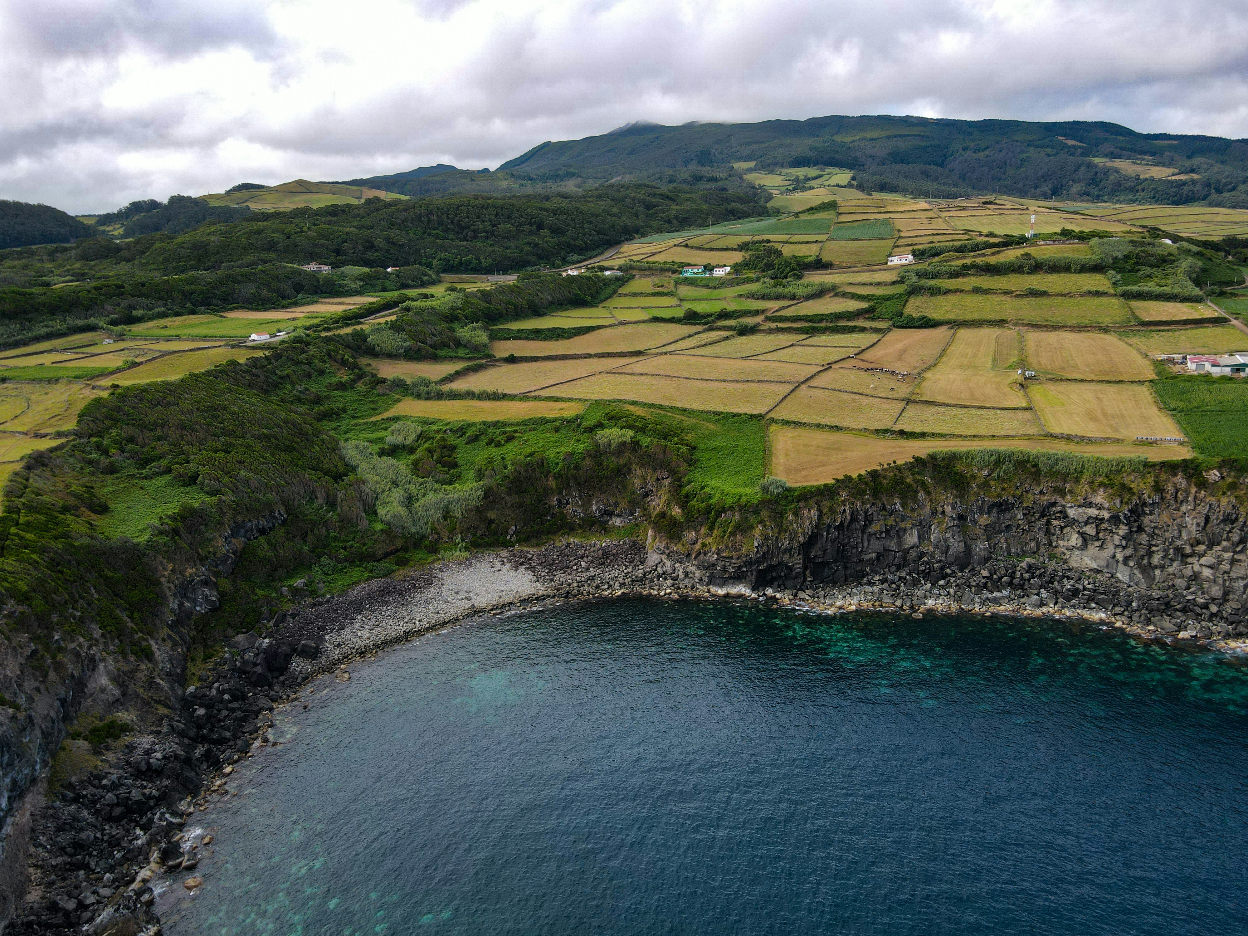 Photo by francesco_ungaro