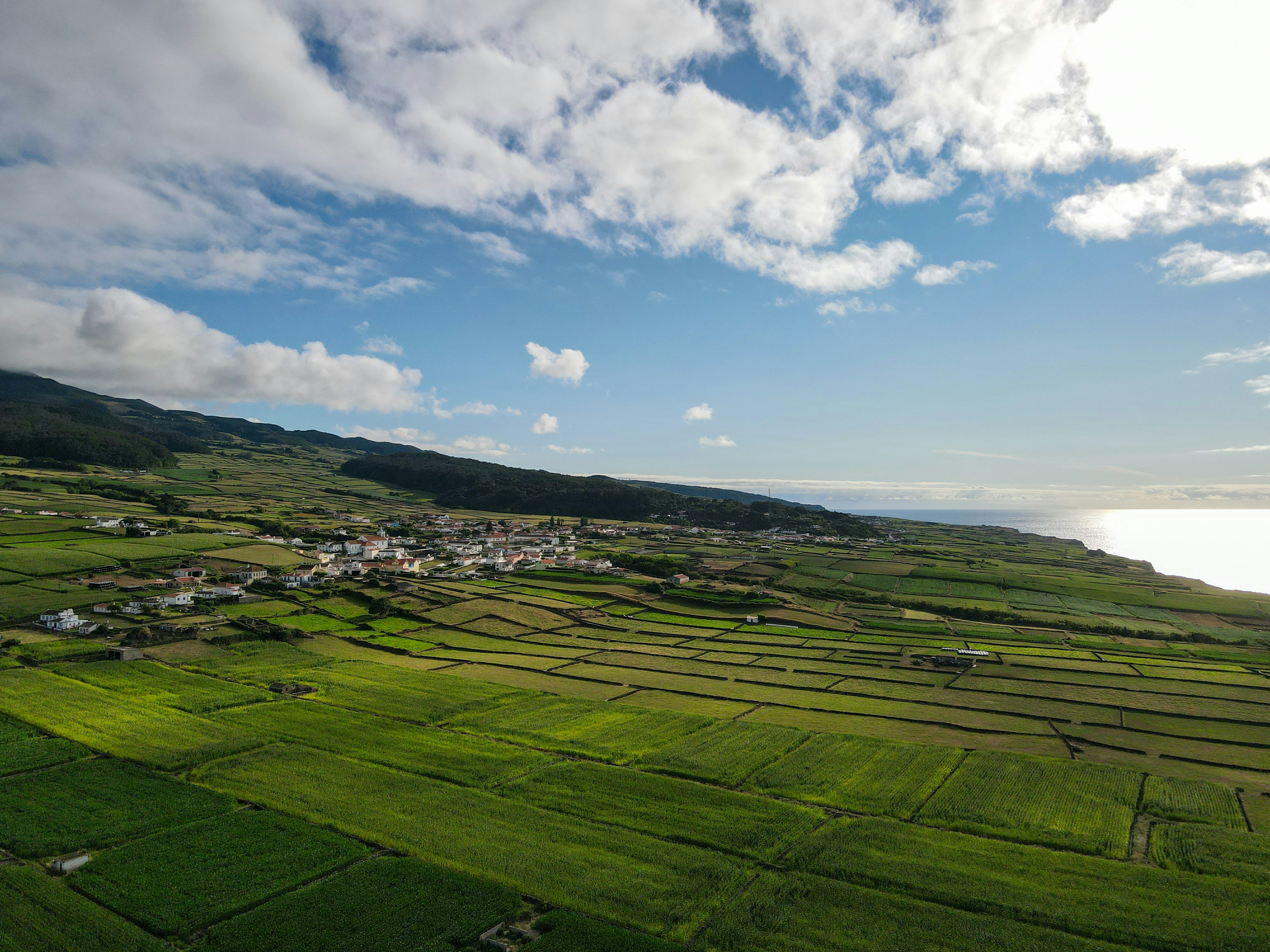 Photo by francesco_ungaro