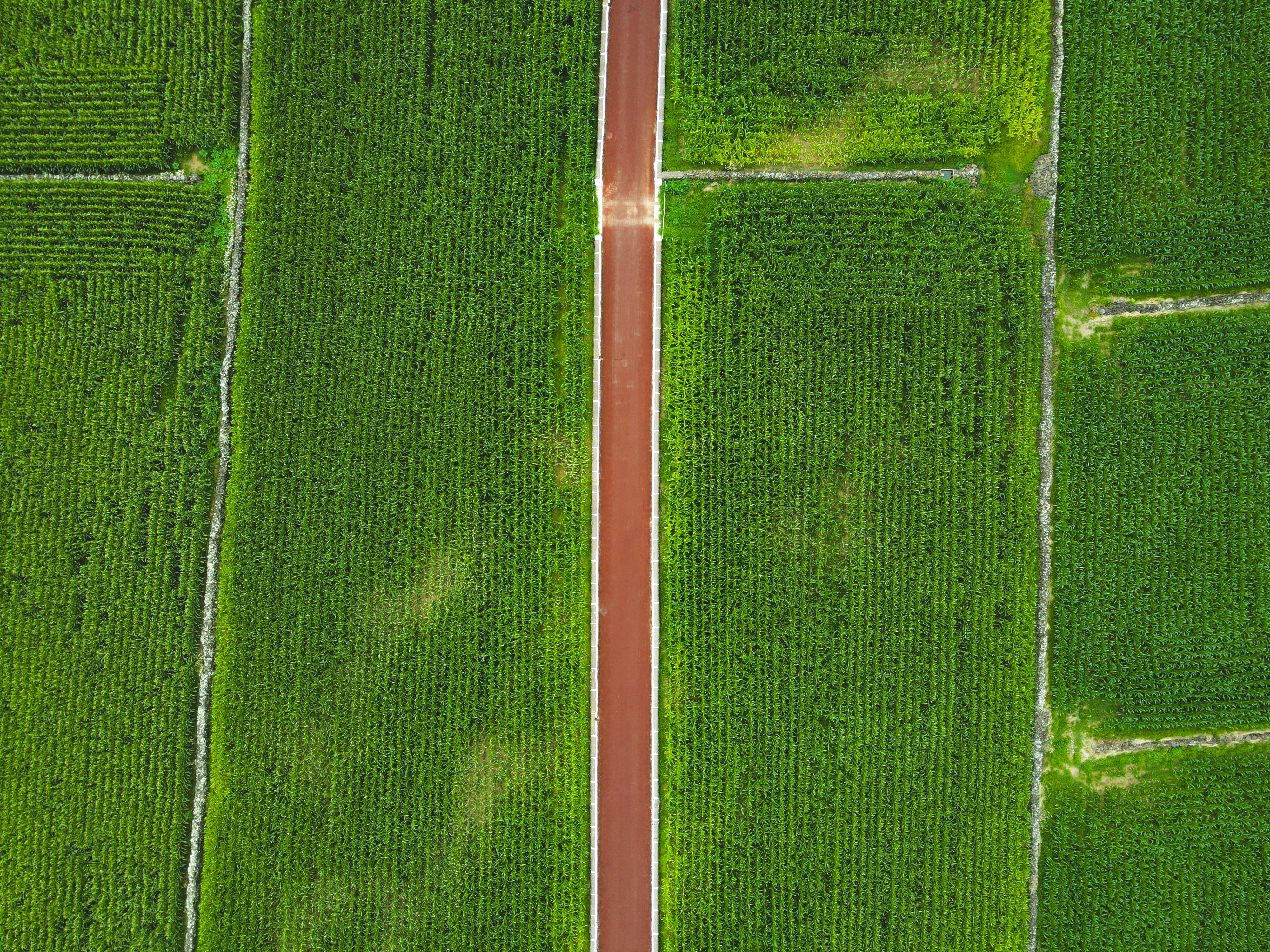 Photo by francesco_ungaro