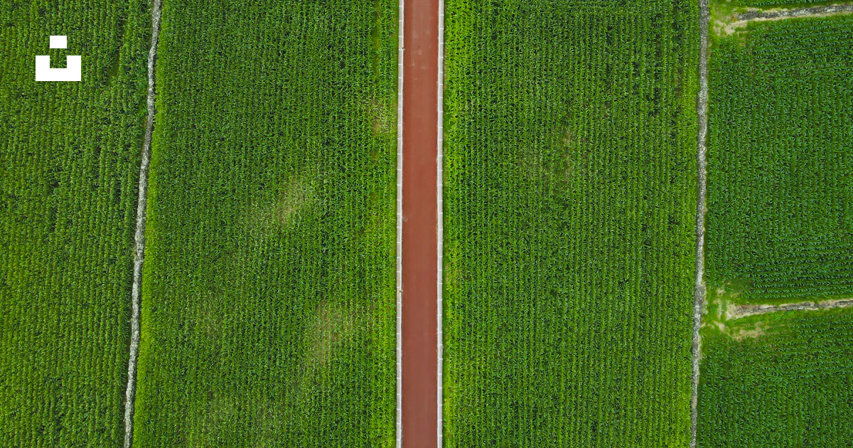 Red Path Texture Aerial view of a red path through green fields. photo – Free Road Image ...
