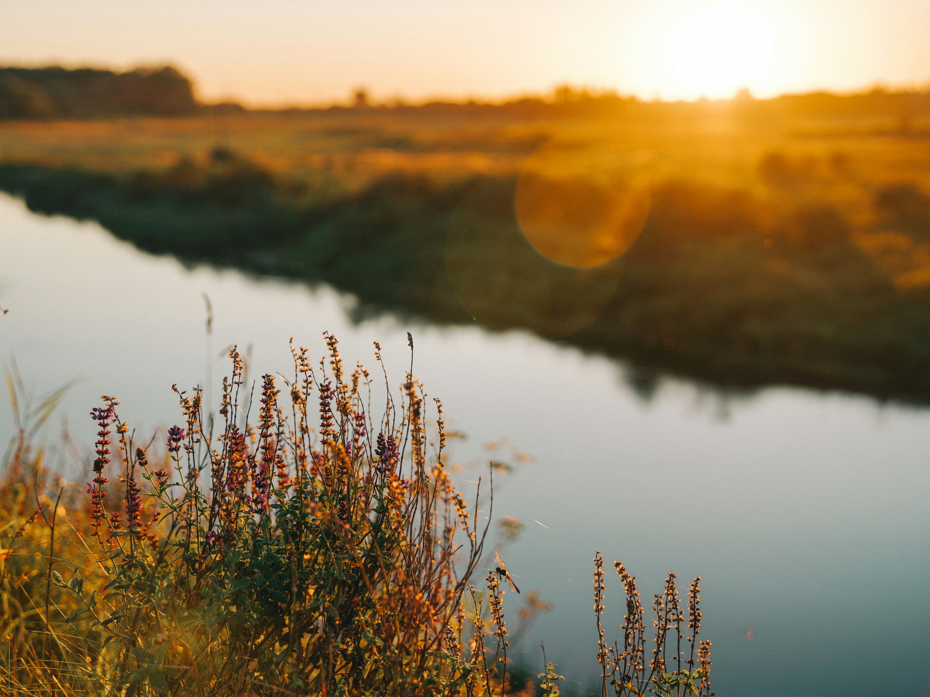 Photo by mineral_of_demon