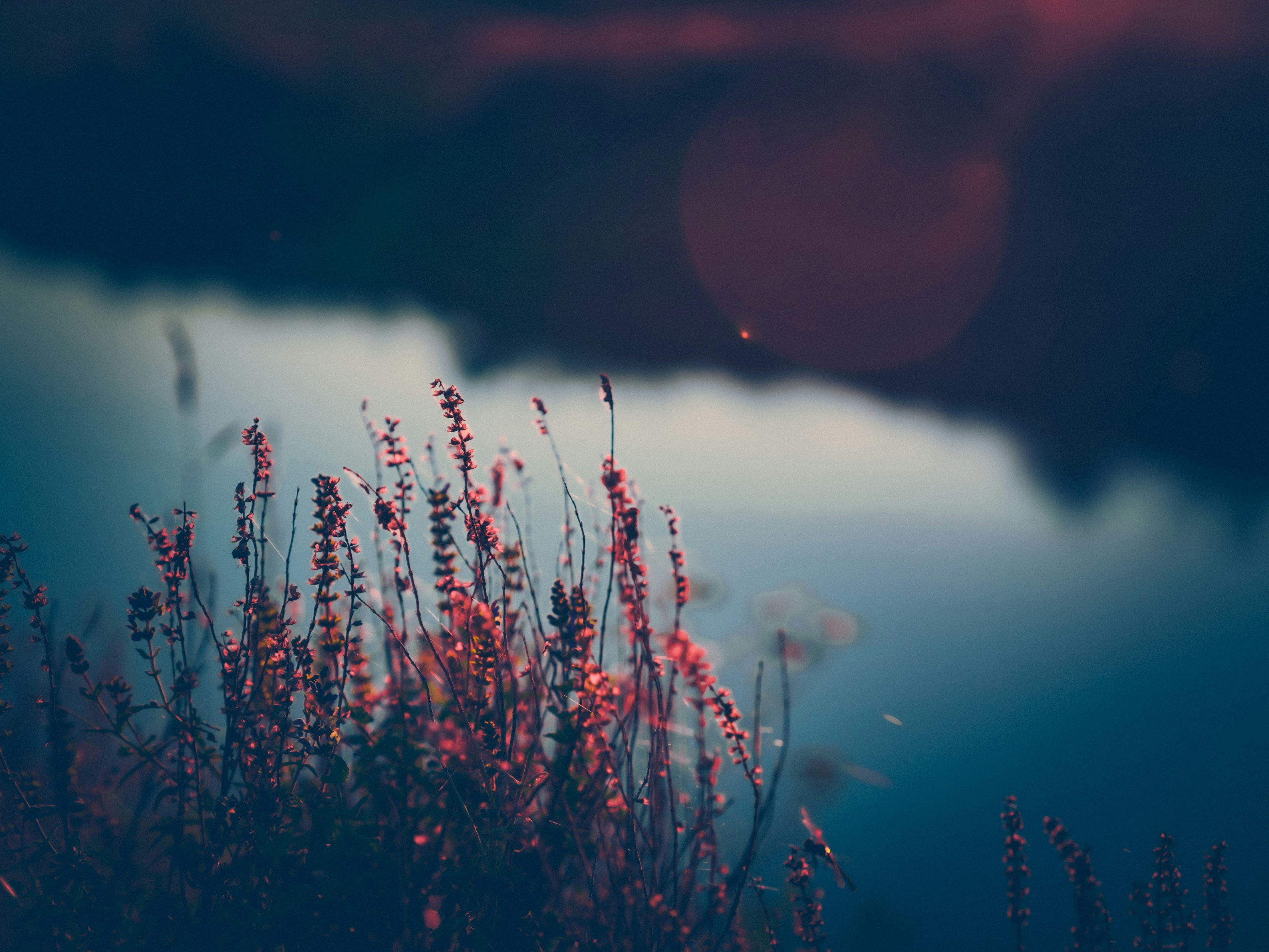 Photo by mineral_of_demon