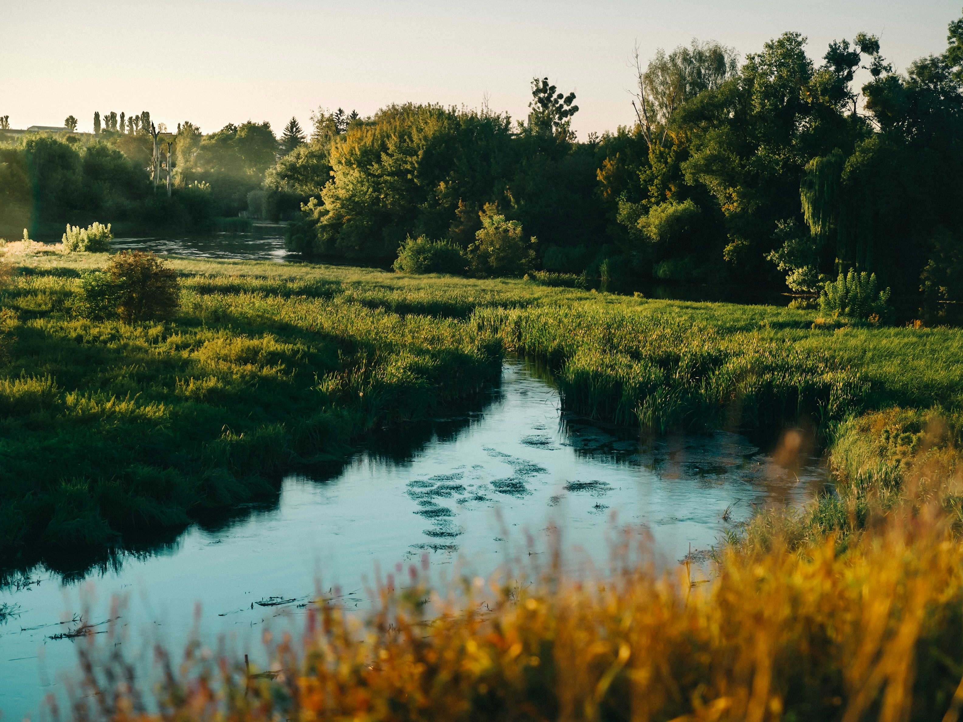 Photo by mineral_of_demon