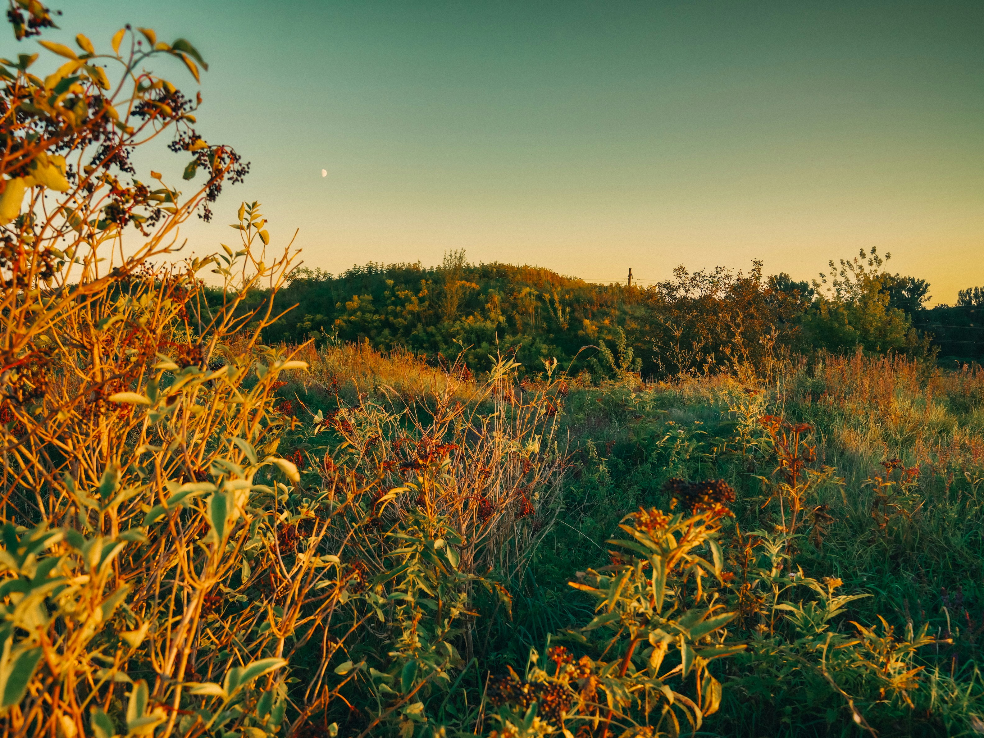 Photo by mineral_of_demon