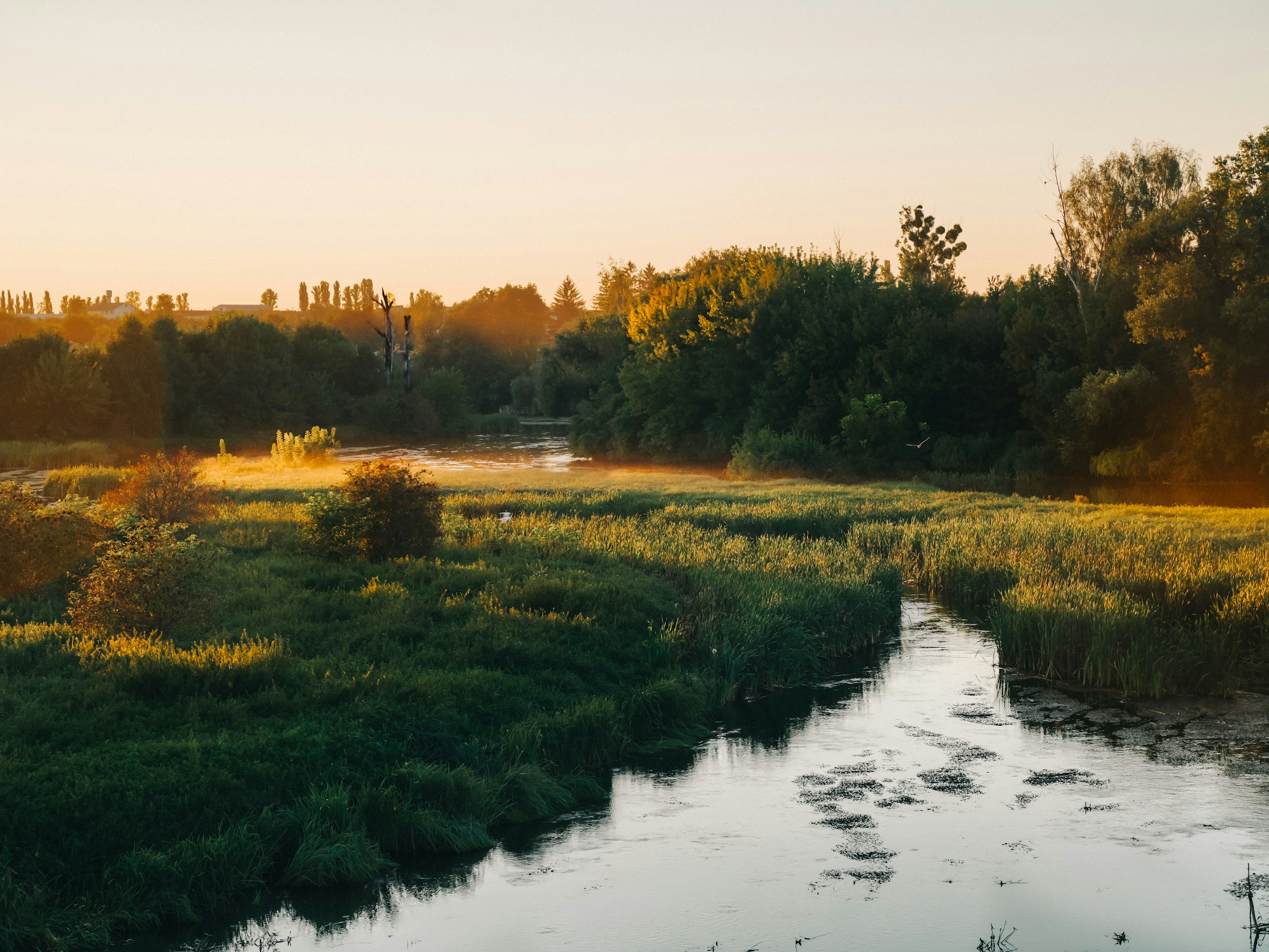 Photo by mineral_of_demon