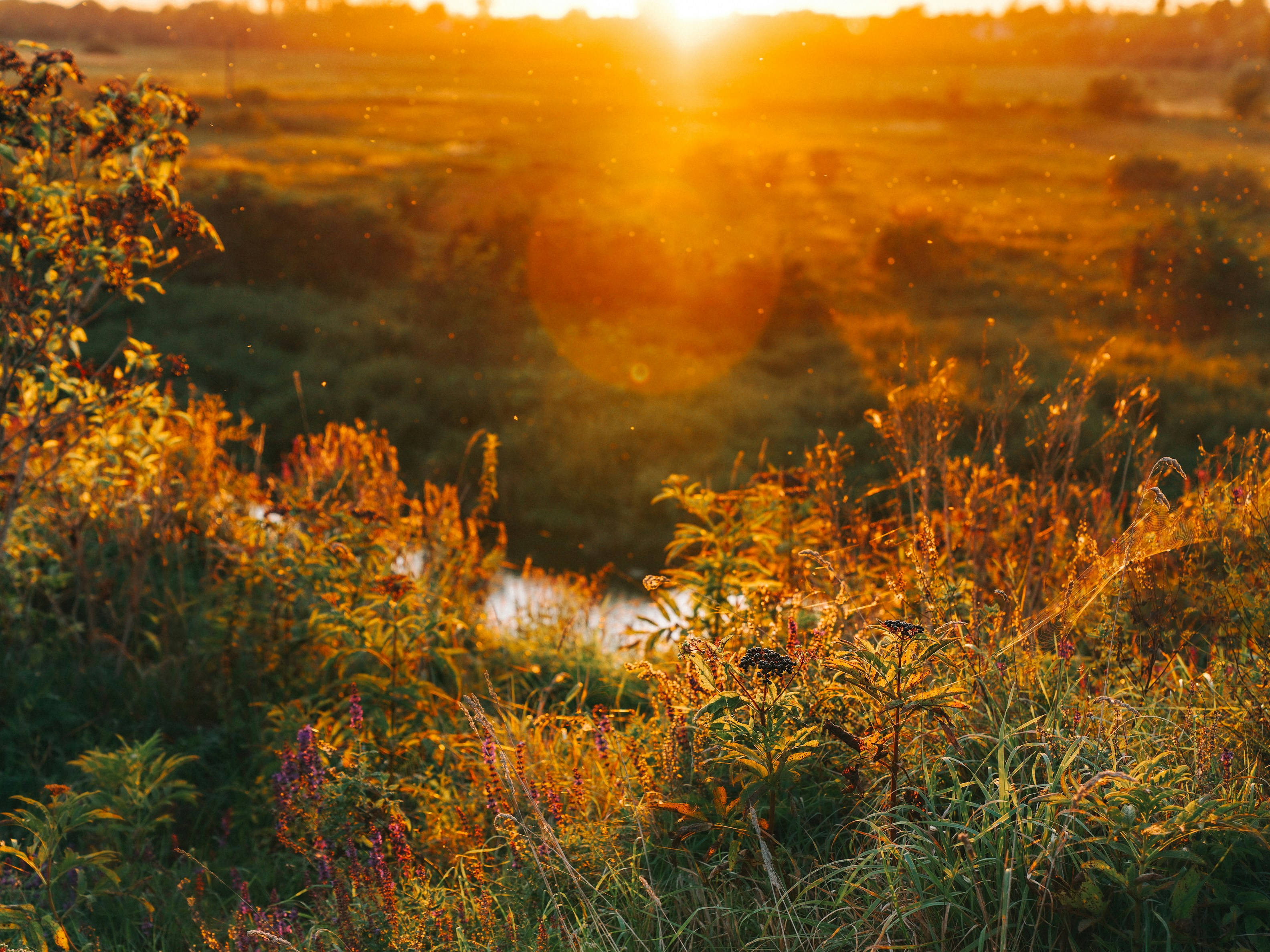 Photo by mineral_of_demon