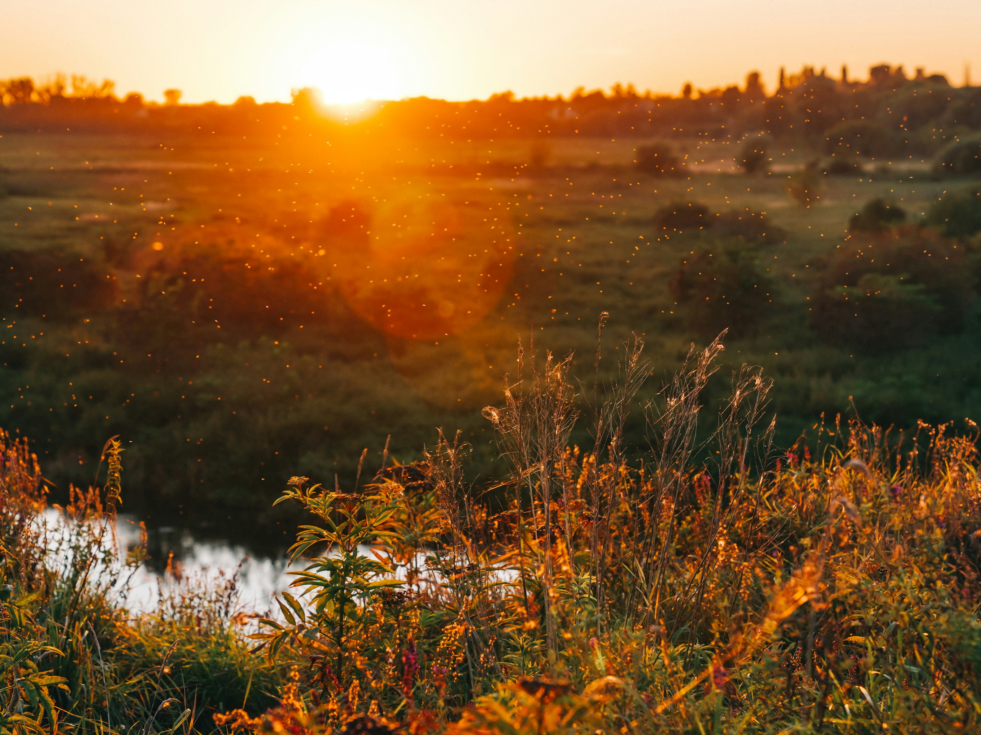 Photo by mineral_of_demon