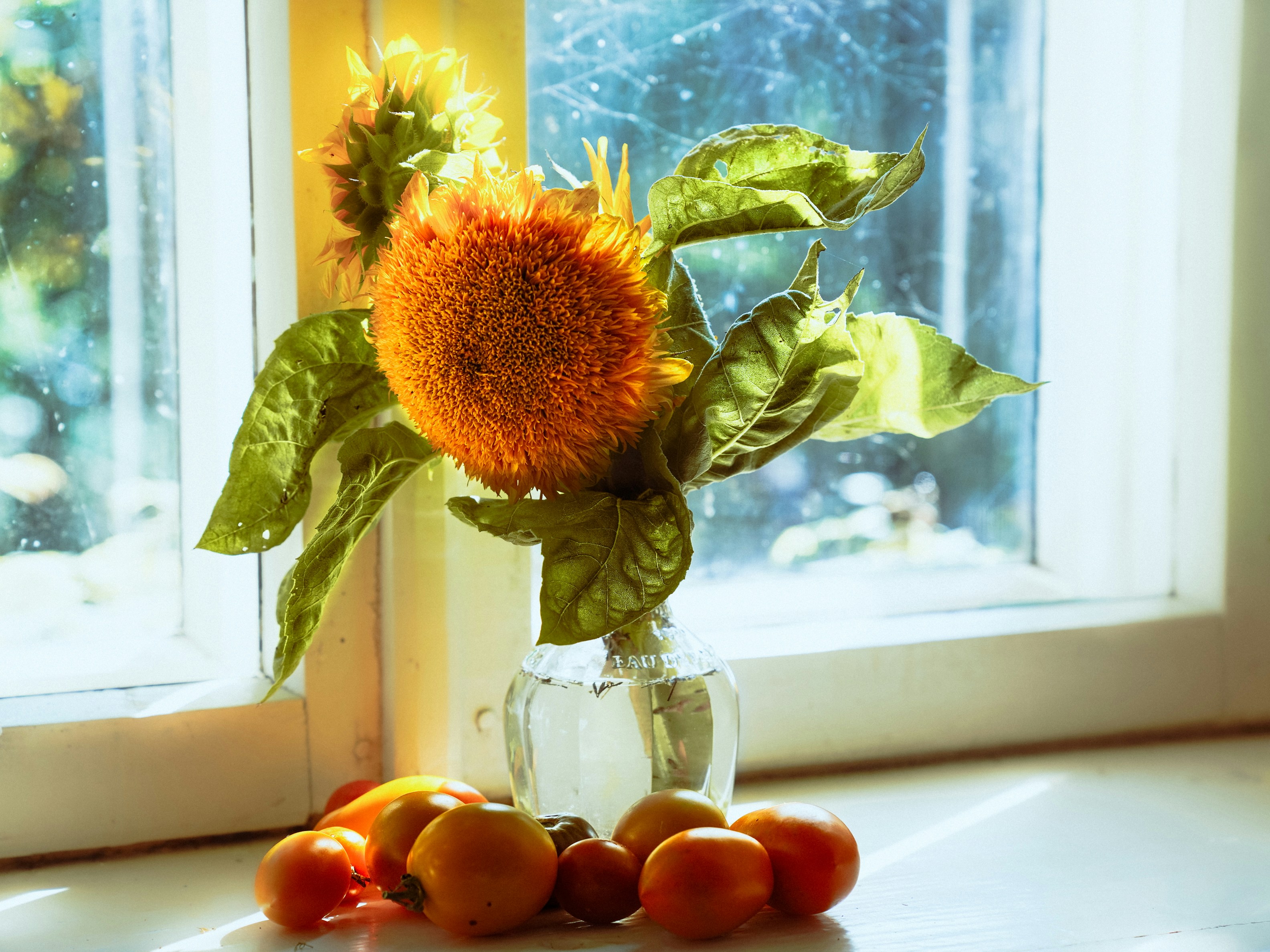 Photo by mineral_of_demon