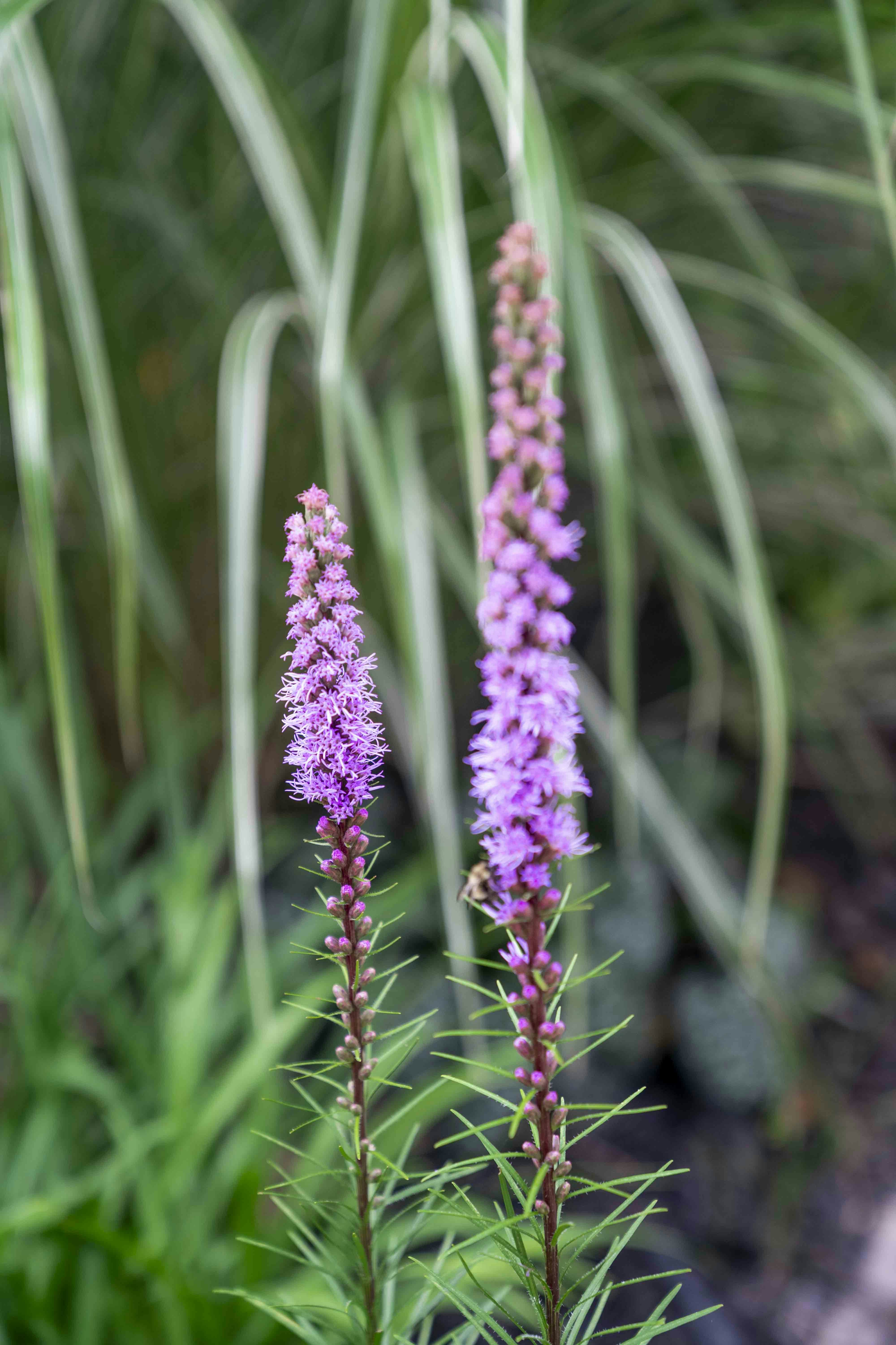 Photo by dropfastcollective