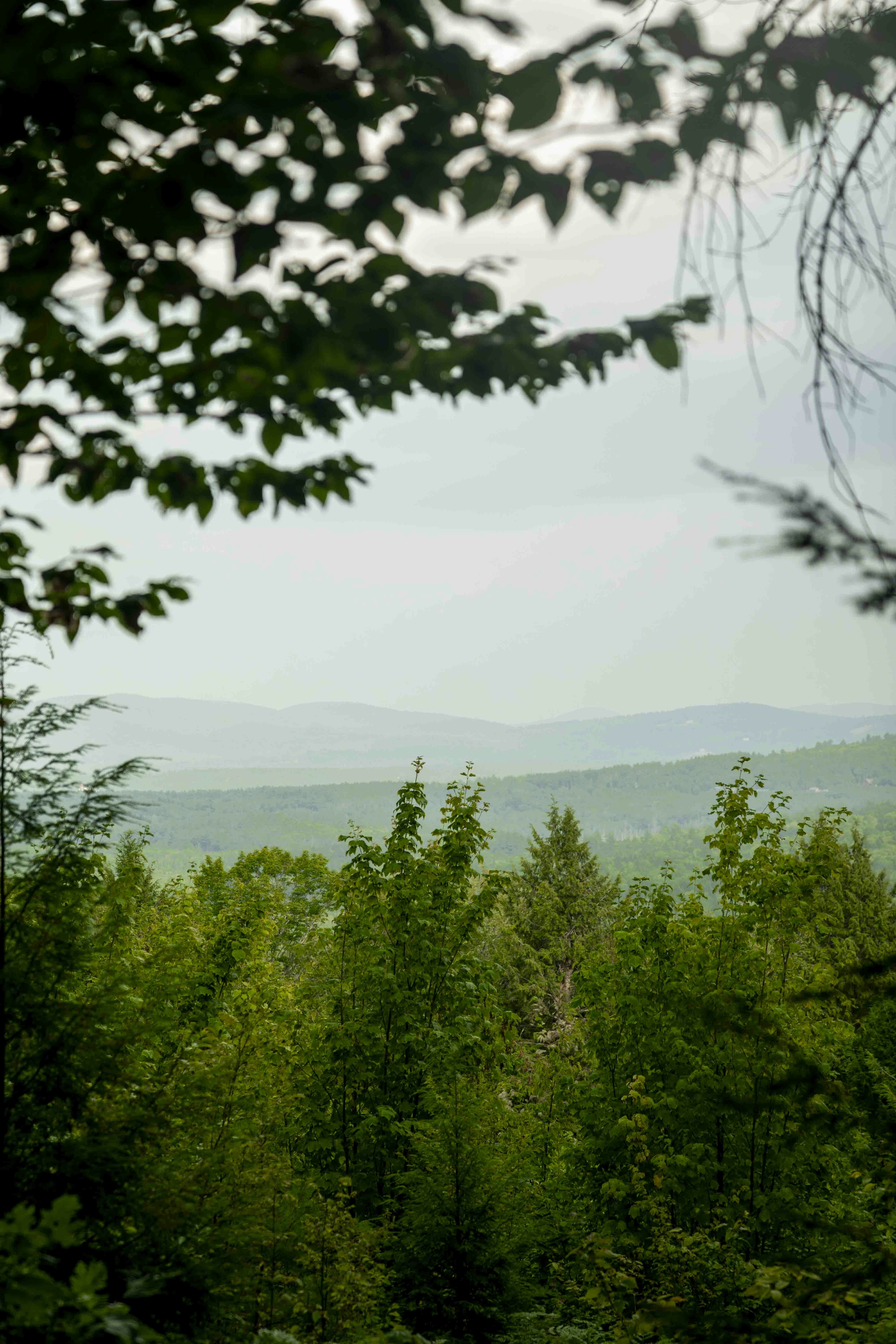 Photo by dropfastcollective