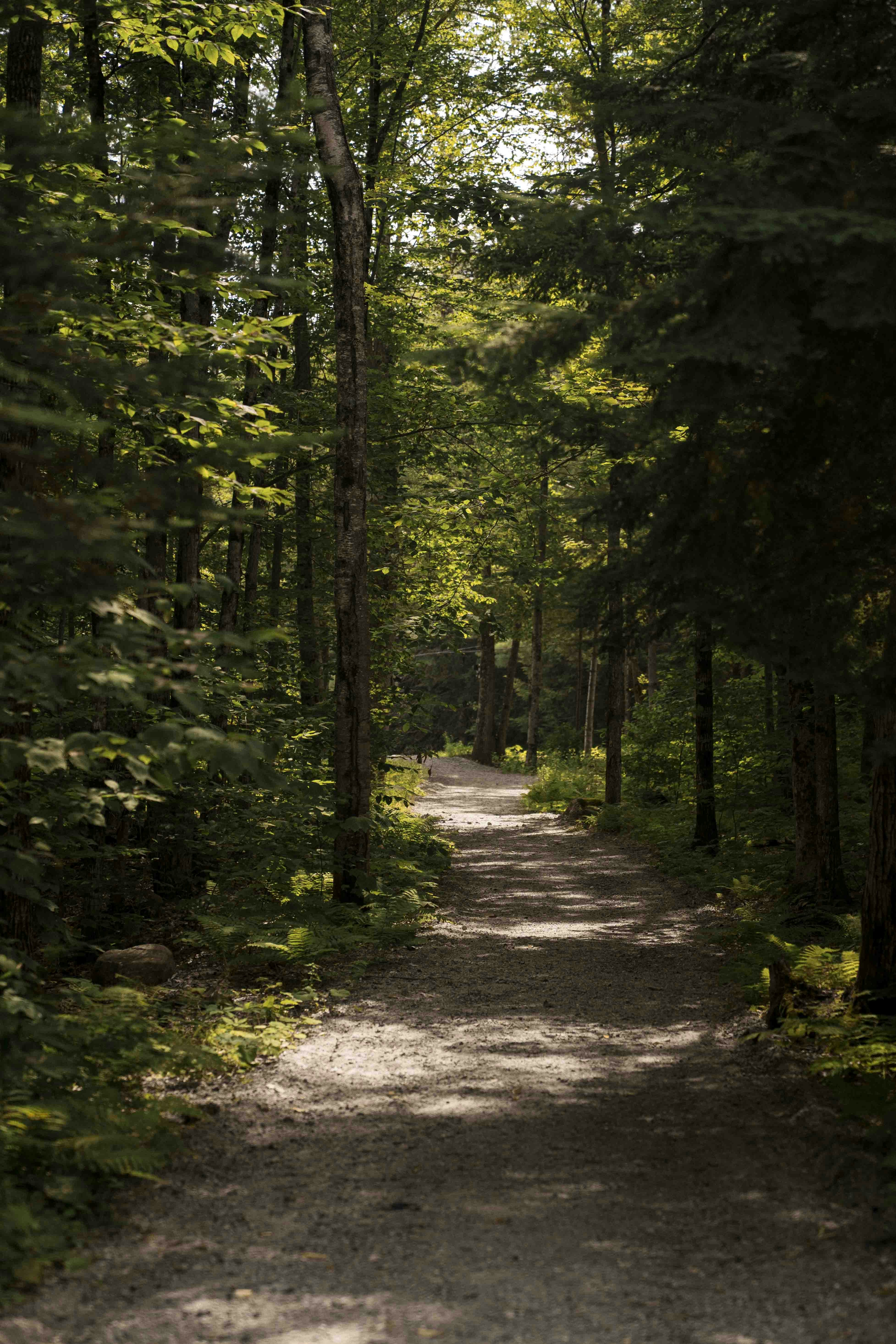 Photo by dropfastcollective