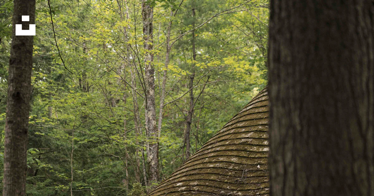 Stone cabin with a conical roof in a forest photo – Free Building Image ...