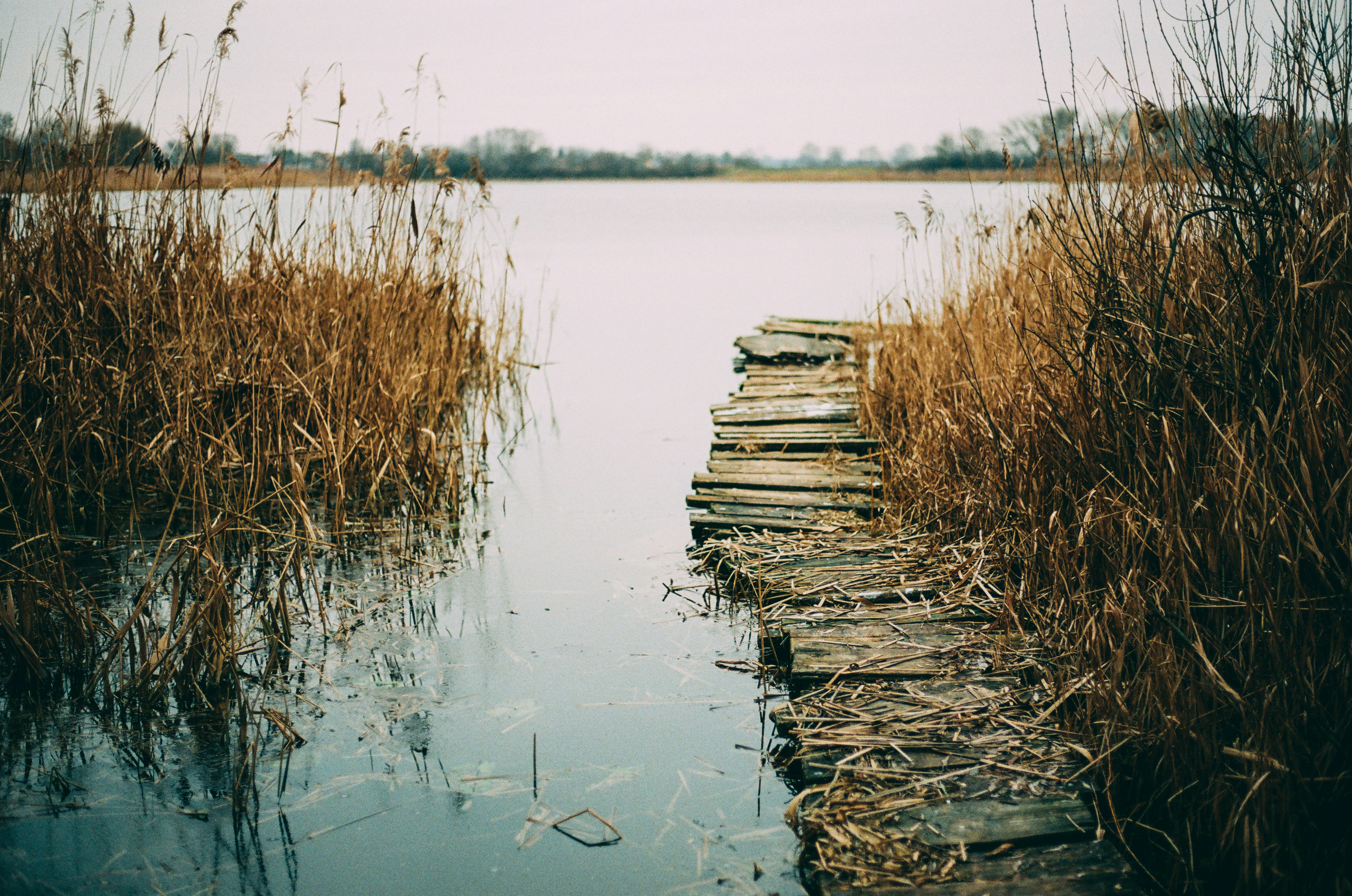 image illustrating a path to recovery - drug rehab maryville tn