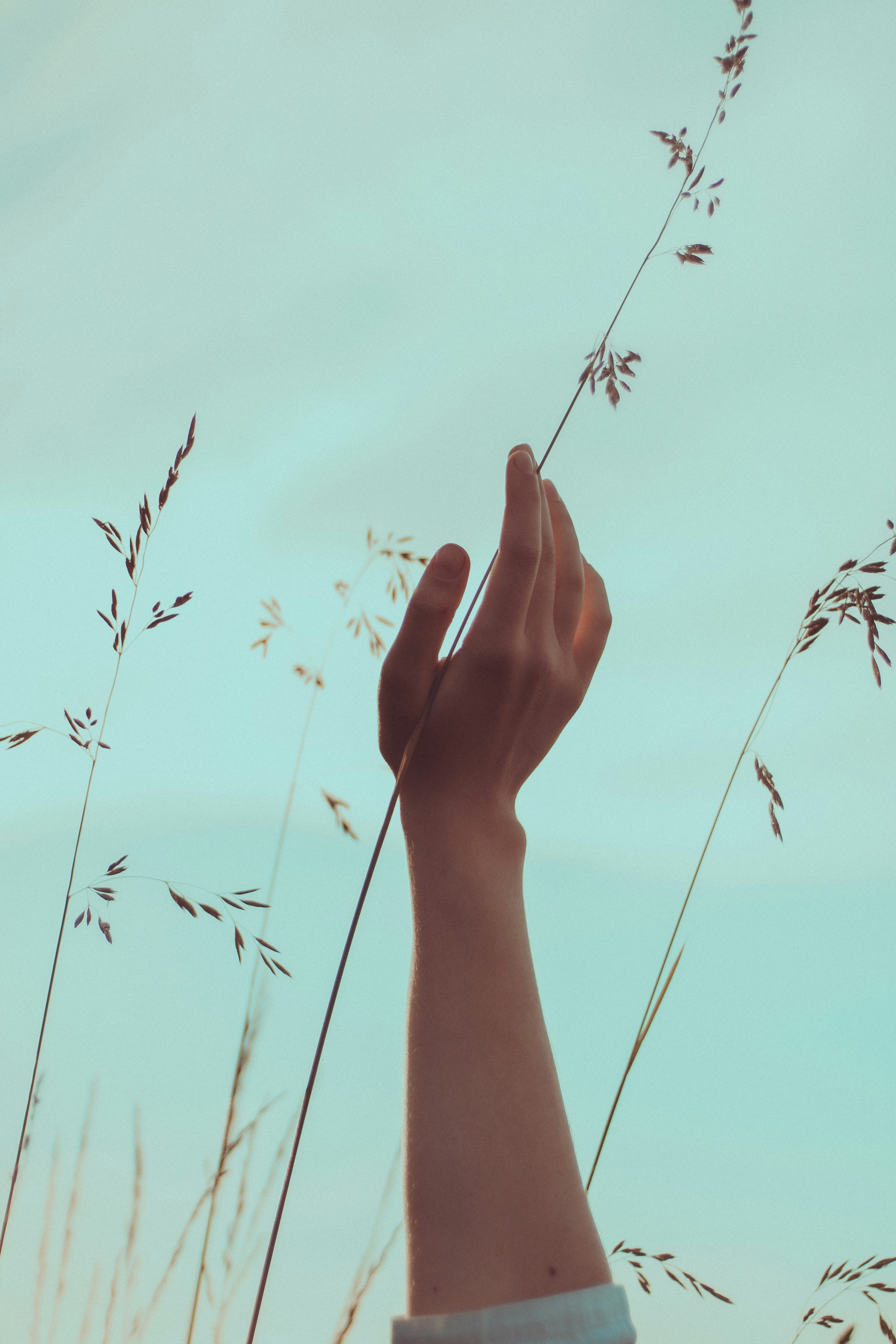 Photo by mineral_of_demon